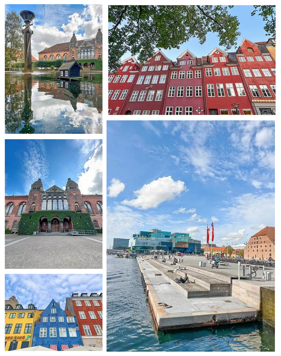 Screen Shot 2026-02-10 at 2.20.27 PM.png