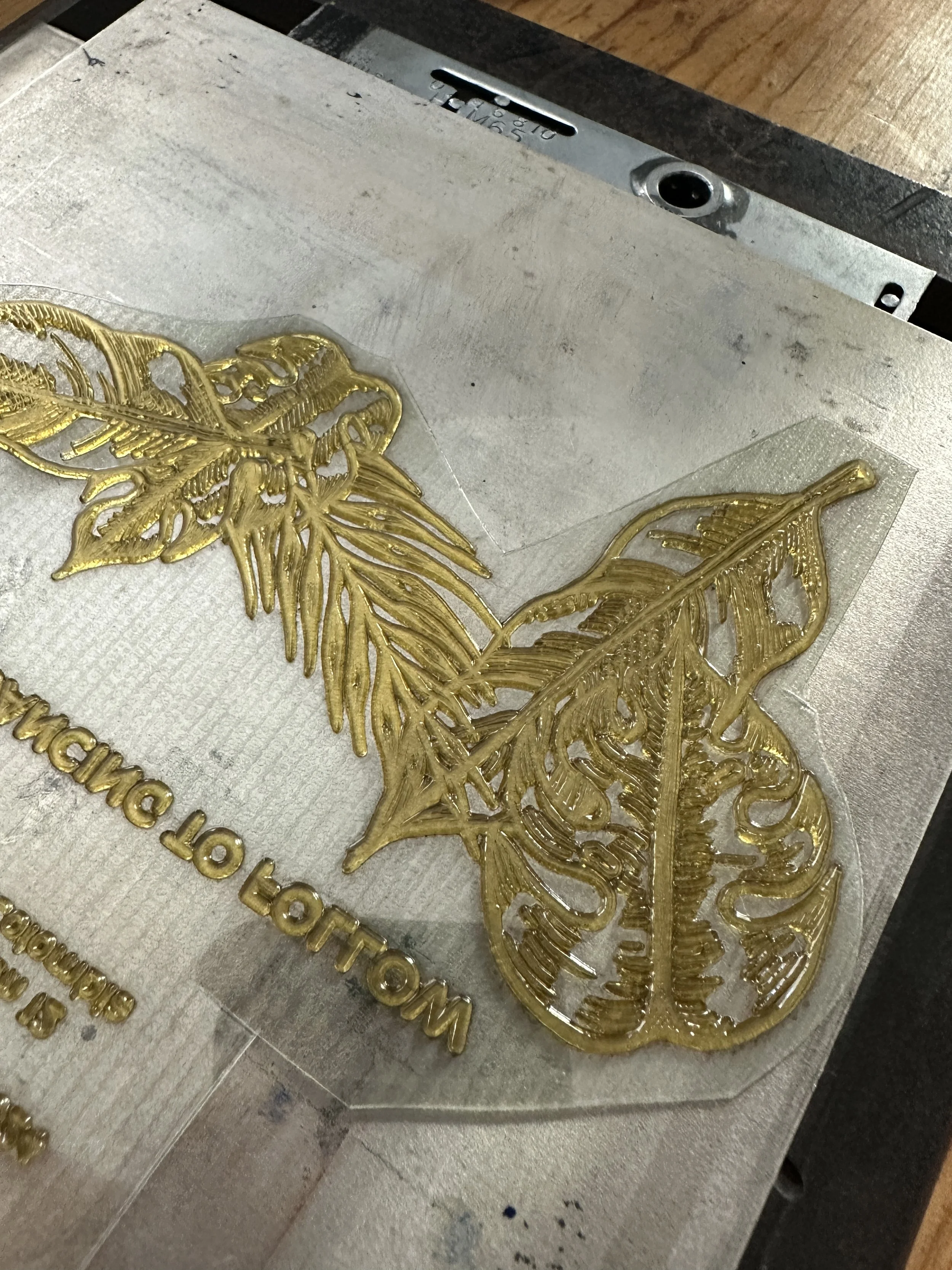 Photo Oct 21 2023, 16 28 35.jpg