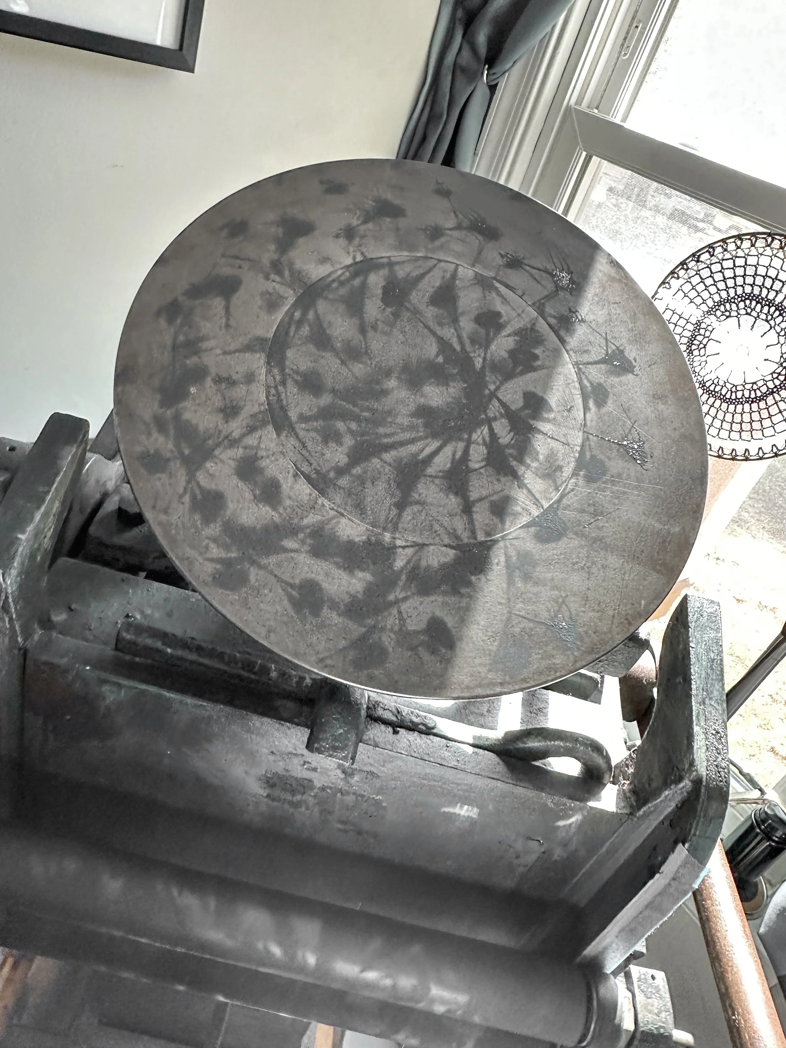 Photo Oct 21 2023, 11 31 04.jpg