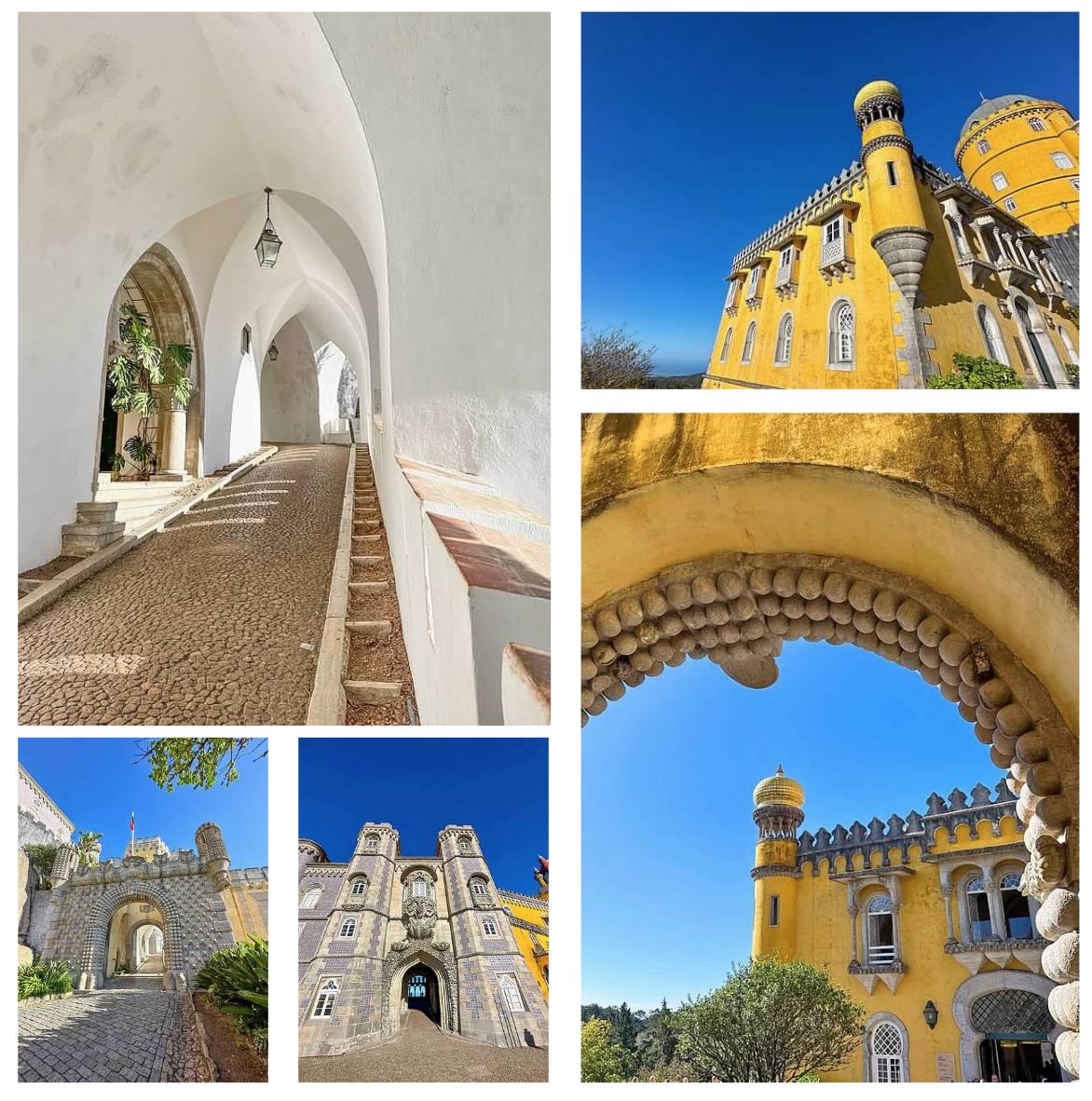 Screen Shot 2026-02-10 at 3.21.57 PM.png