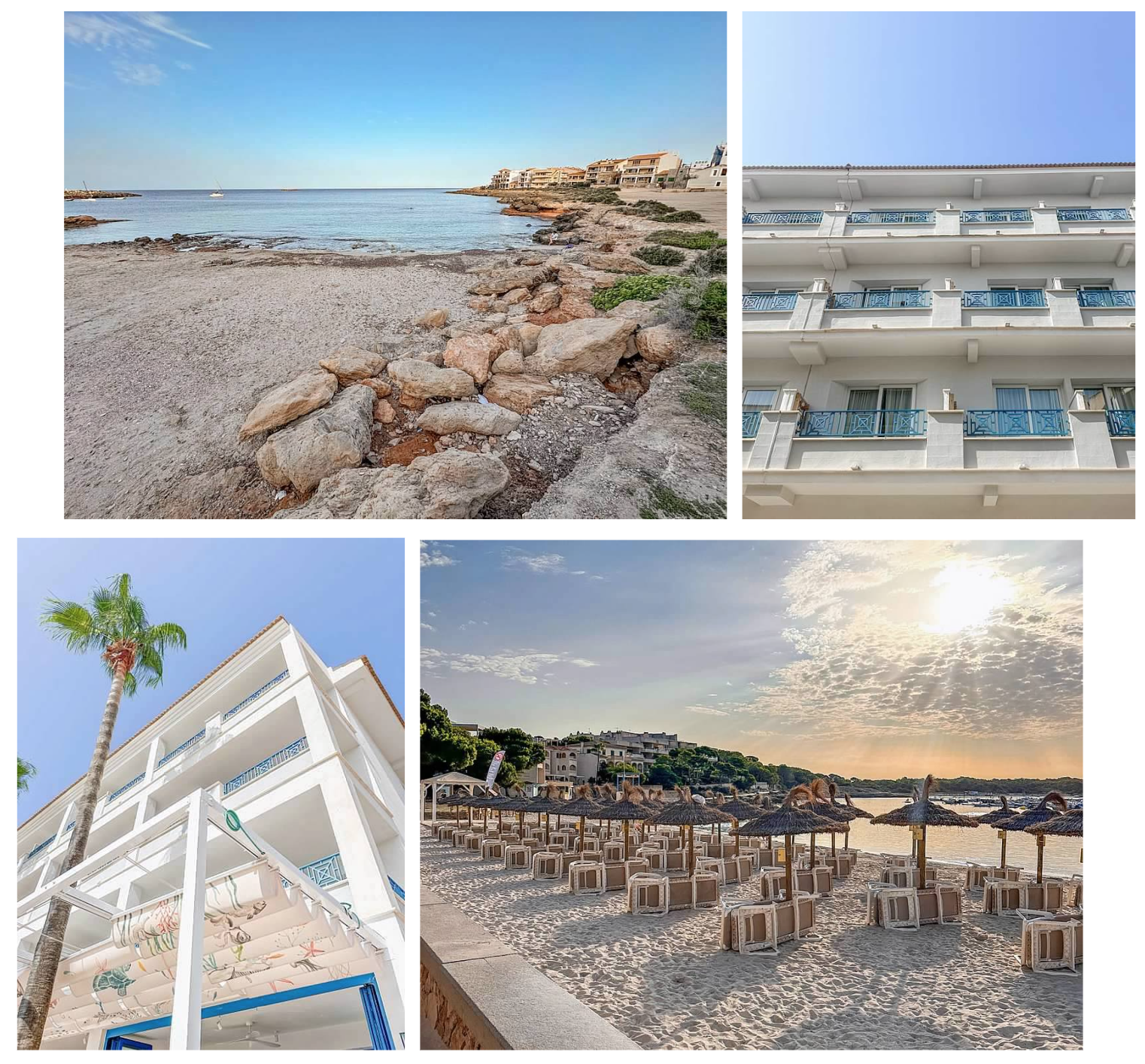 Screen Shot 2026-02-10 at 4.11.52 PM.png