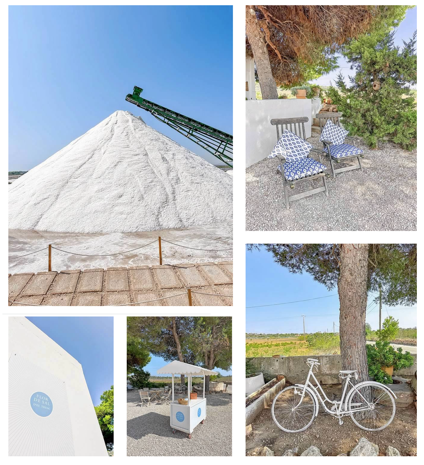 Screen Shot 2026-02-10 at 4.13.06 PM.png