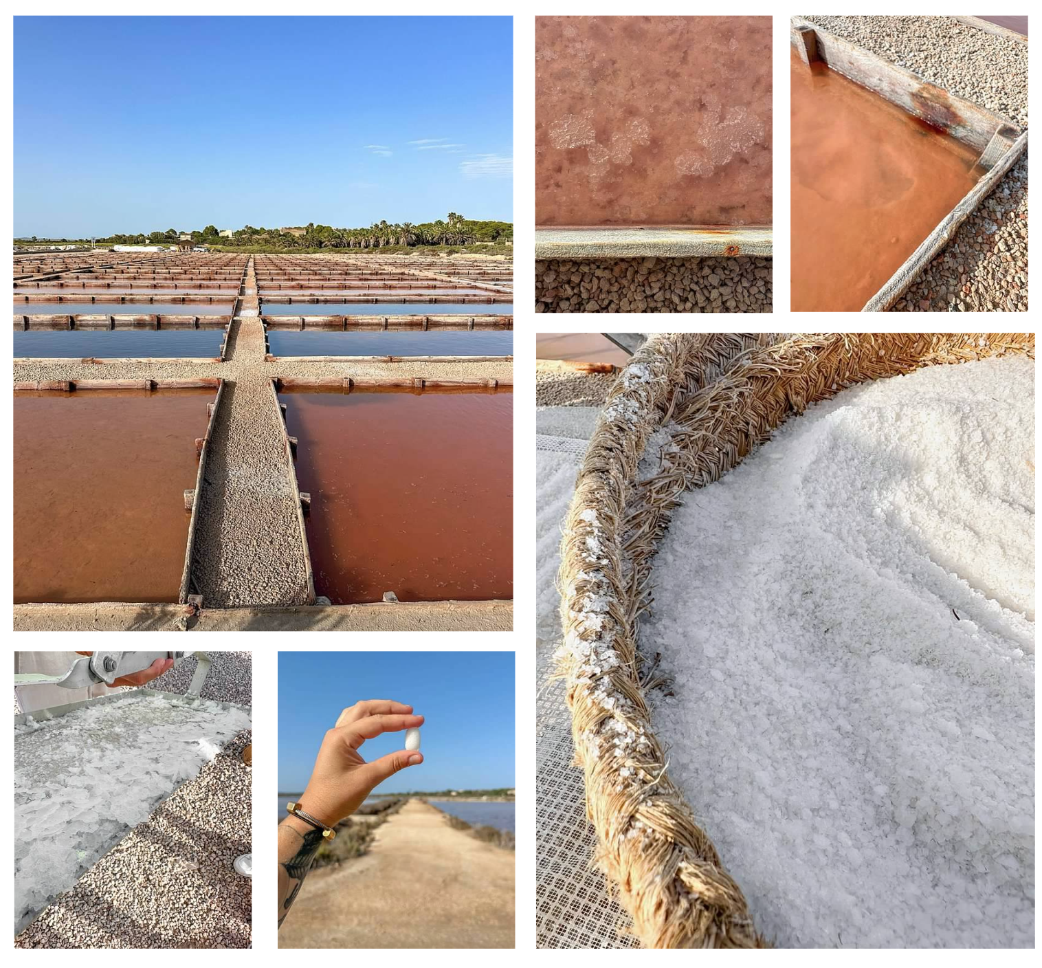 Screen Shot 2026-02-10 at 4.13.16 PM.png