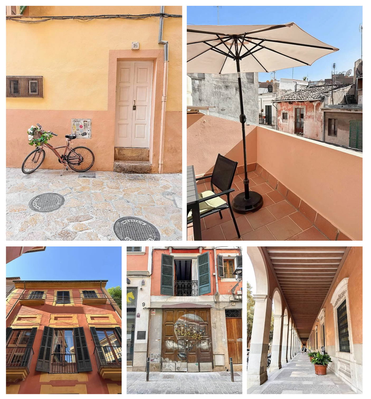 Screen Shot 2026-02-10 at 4.14.12 PM.png