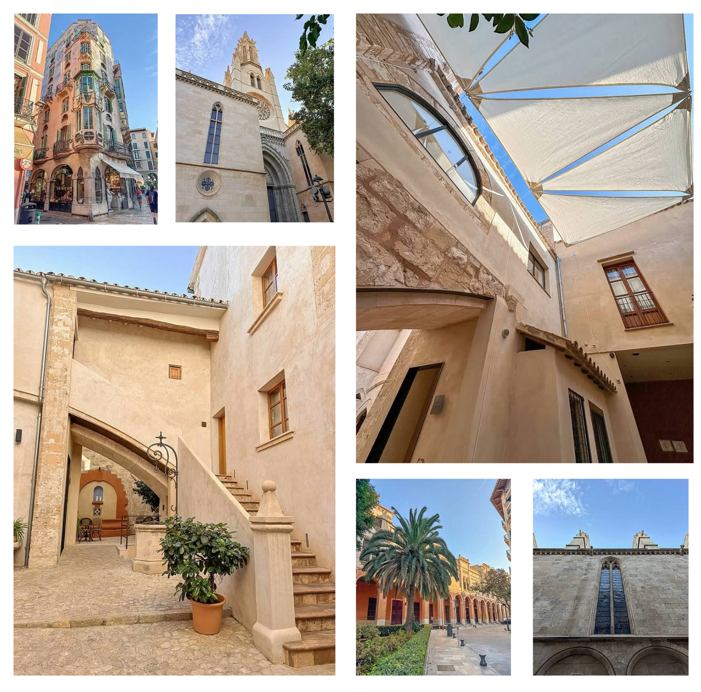 Screen Shot 2026-02-10 at 4.14.22 PM.png