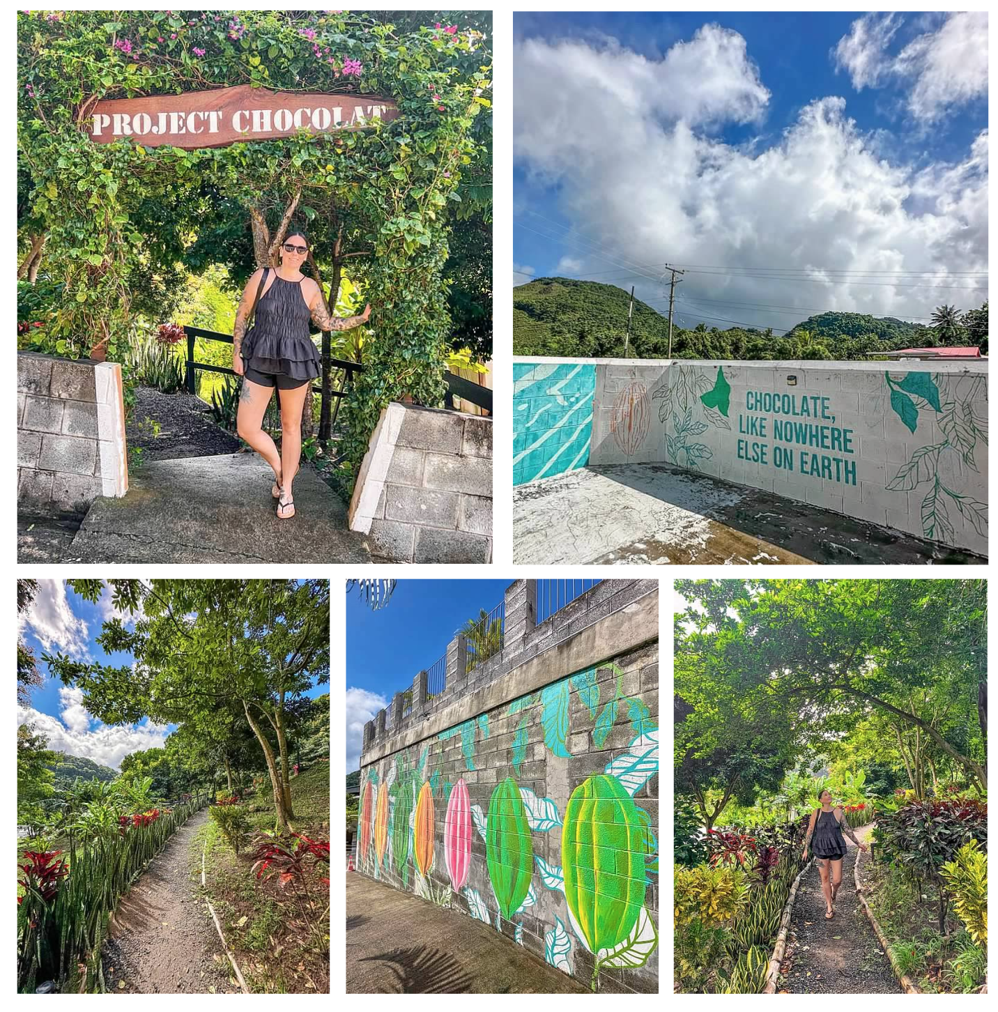 Screen Shot 2026-02-10 at 4.58.36 PM.png