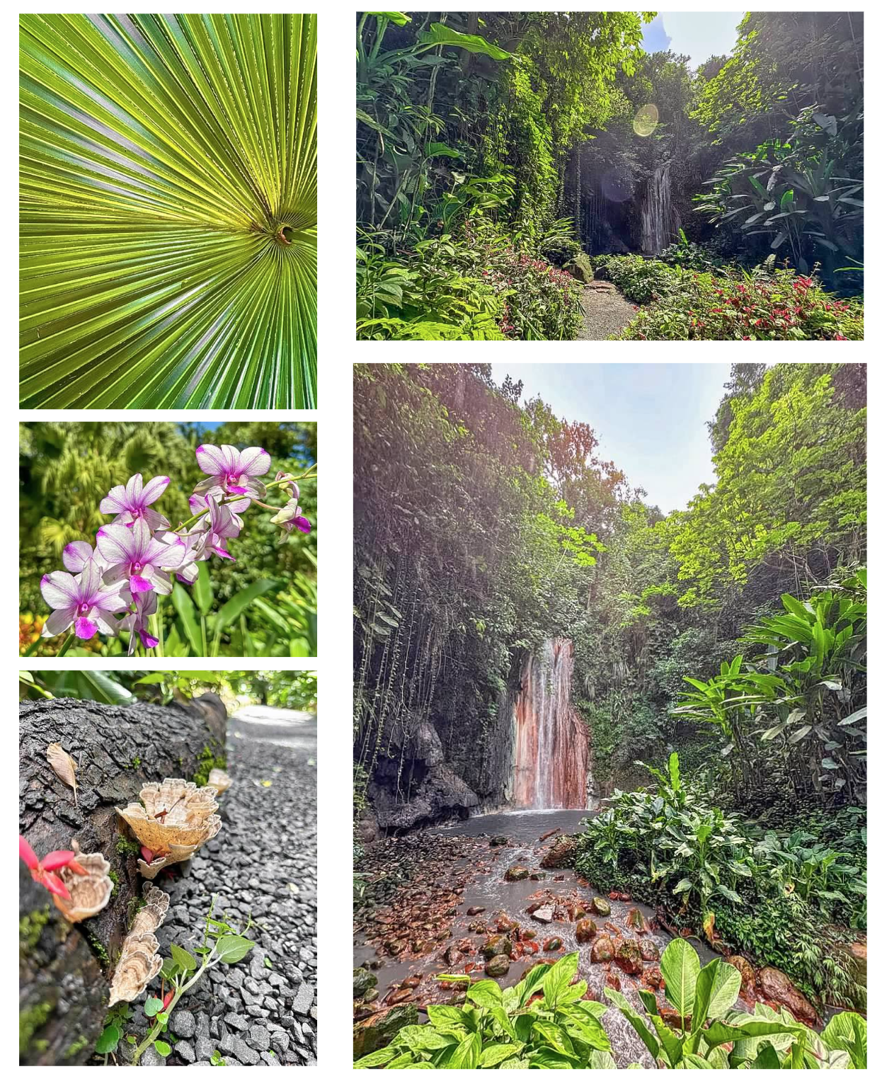 Screen Shot 2026-02-10 at 4.58.54 PM.png