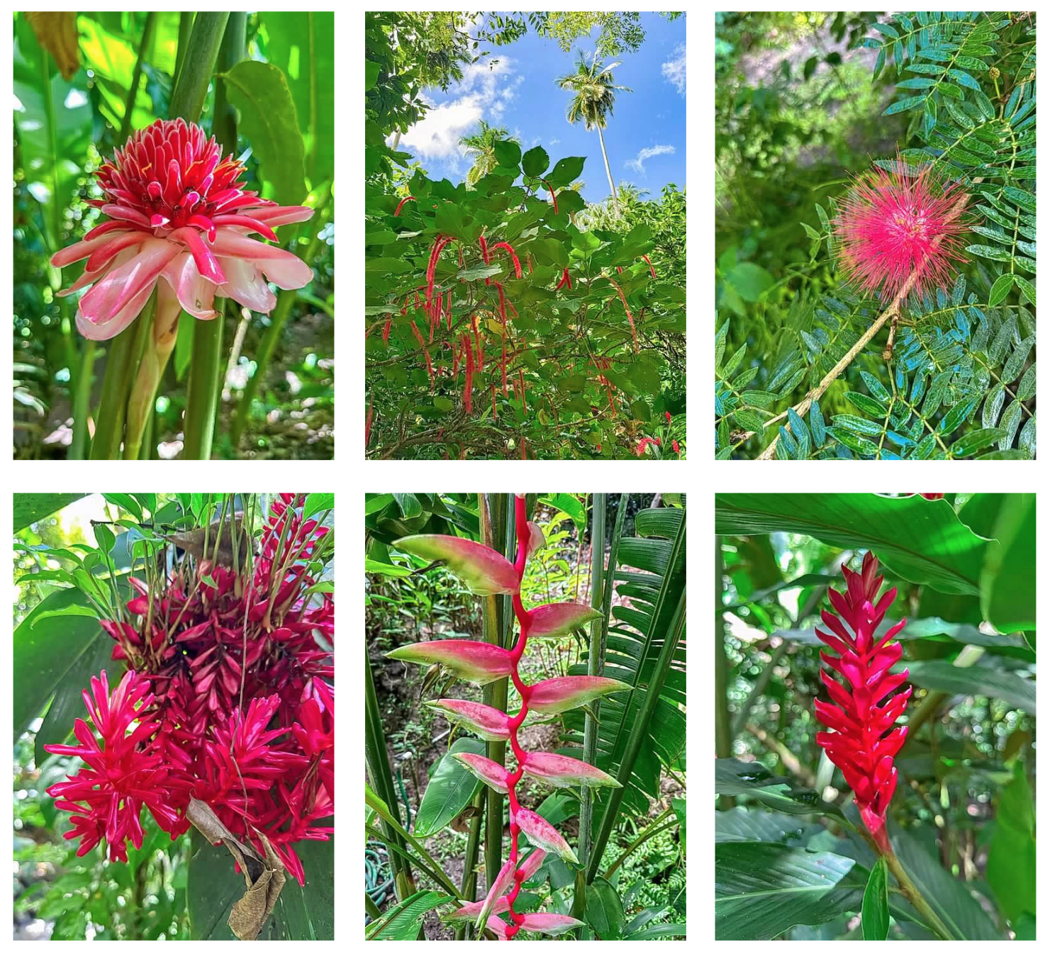 Screen Shot 2026-02-10 at 4.58.58 PM.png