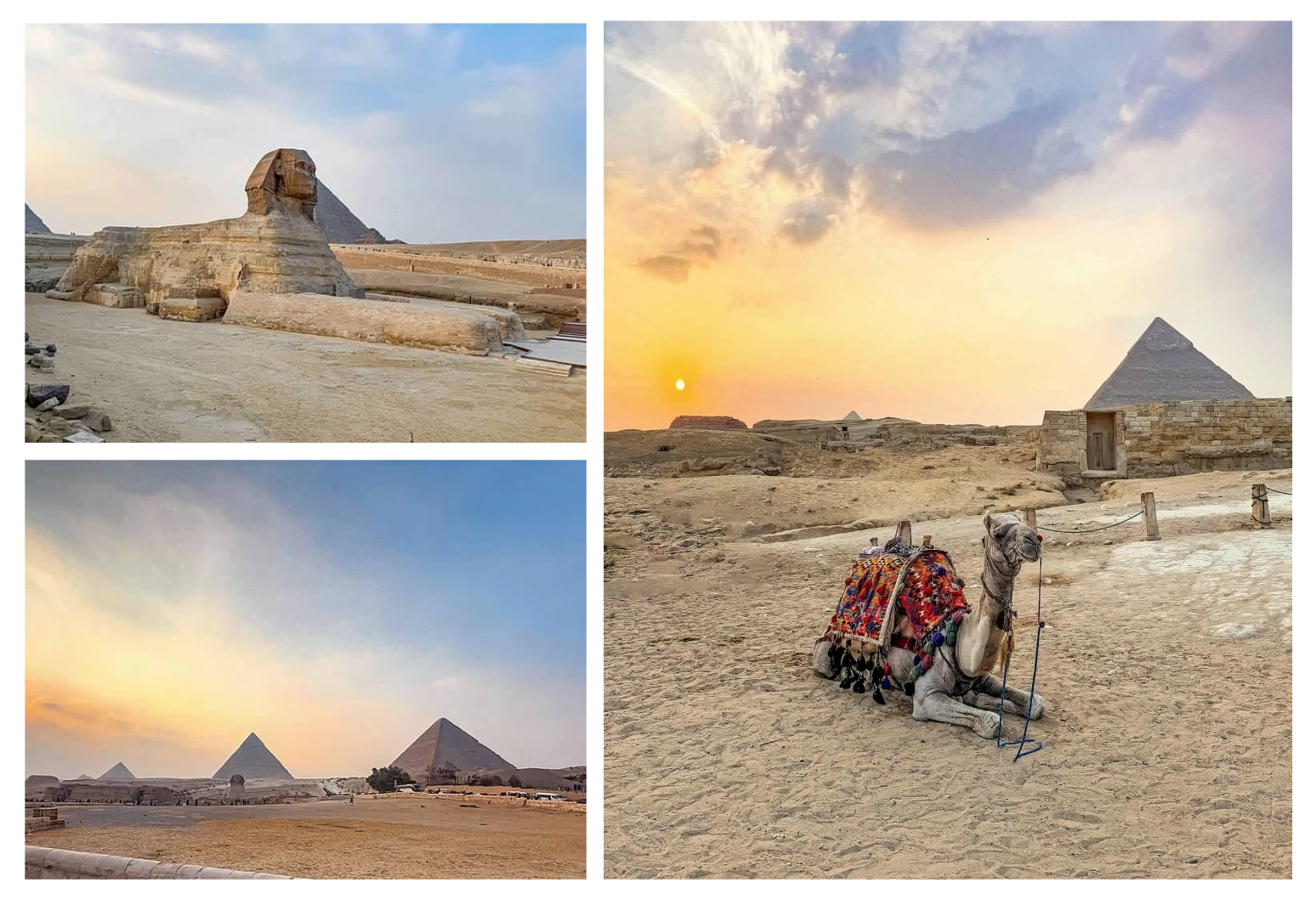 Screen Shot 2026-02-10 at 5.45.00 PM.png