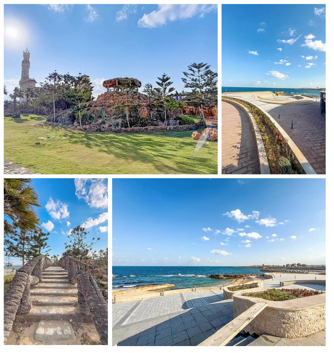 Screen Shot 2026-02-10 at 5.45.45 PM.png