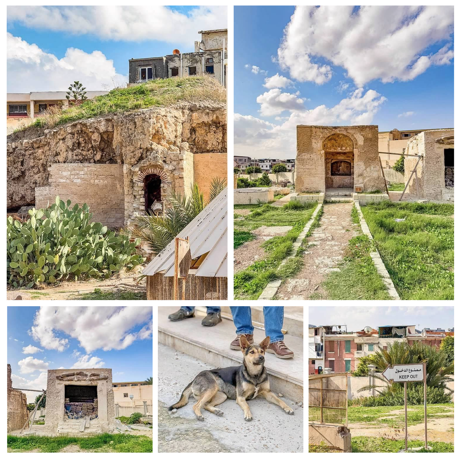 Screen Shot 2026-02-10 at 5.45.50 PM.png