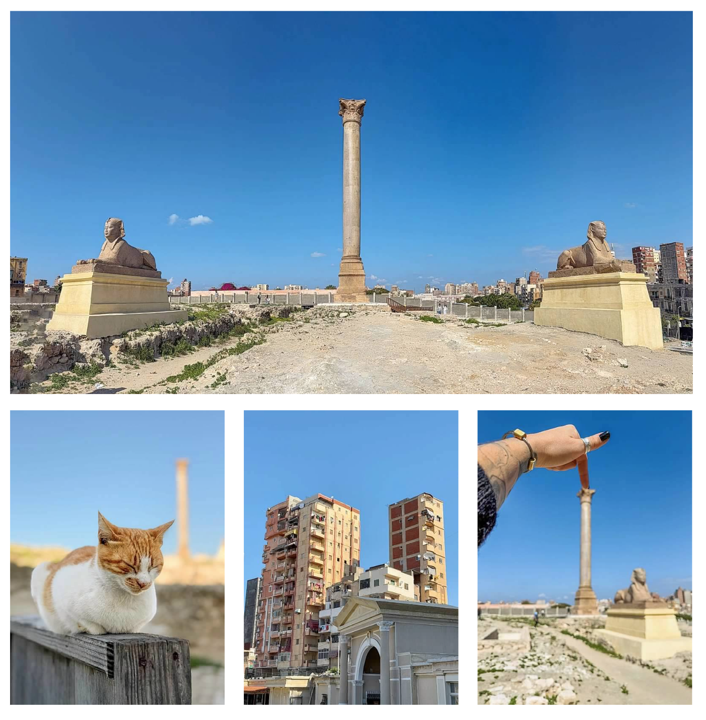 Screen Shot 2026-02-10 at 5.46.12 PM.png