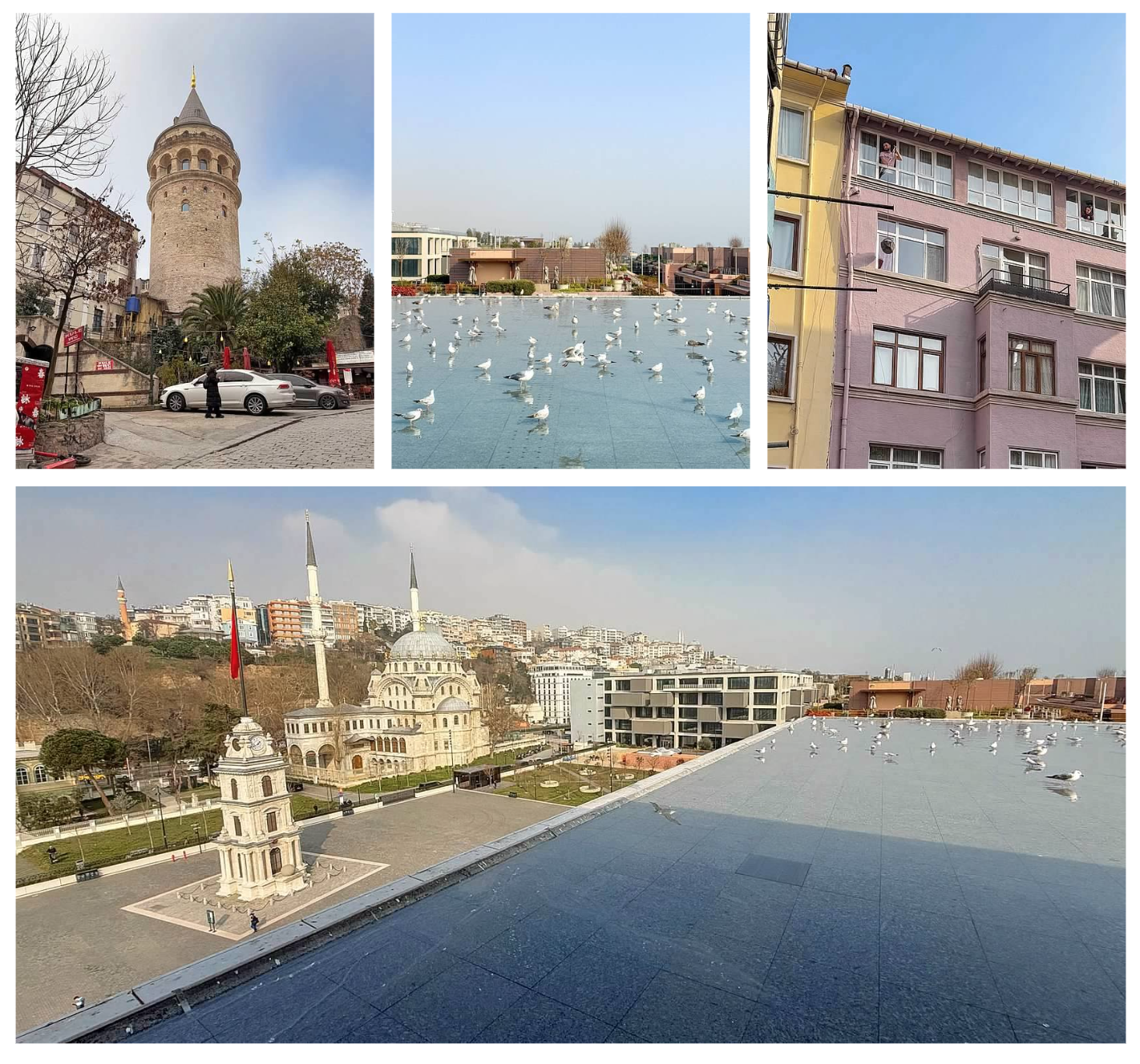 Screen Shot 2026-02-10 at 6.15.27 PM.png