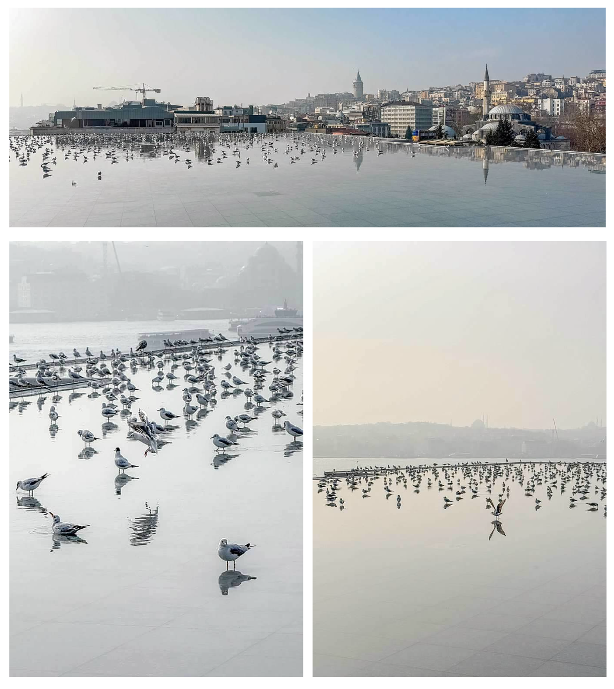 Screen Shot 2026-02-10 at 6.15.32 PM.png