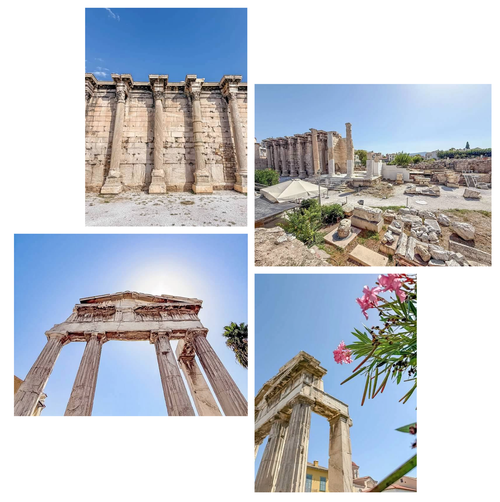 Screen Shot 2026-02-11 at 11.44.21 AM.png