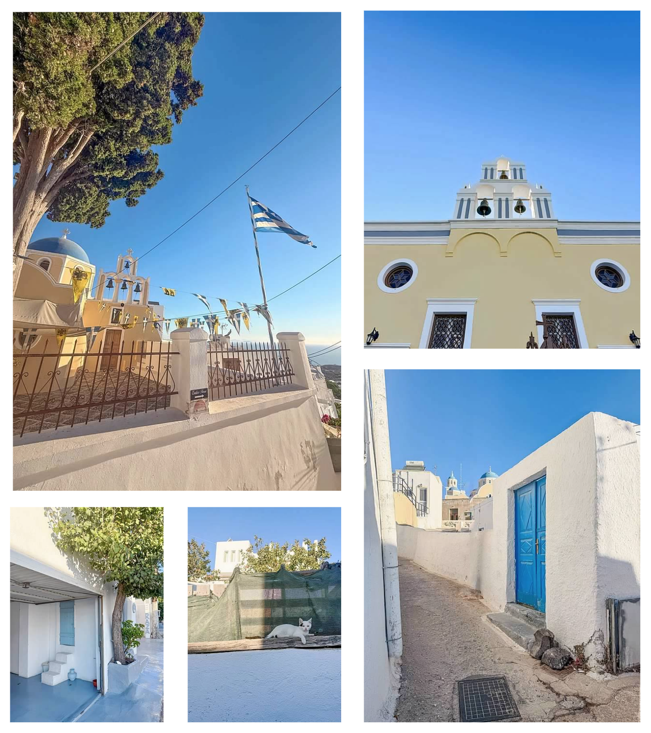 Screen Shot 2026-02-11 at 11.46.19 AM.png