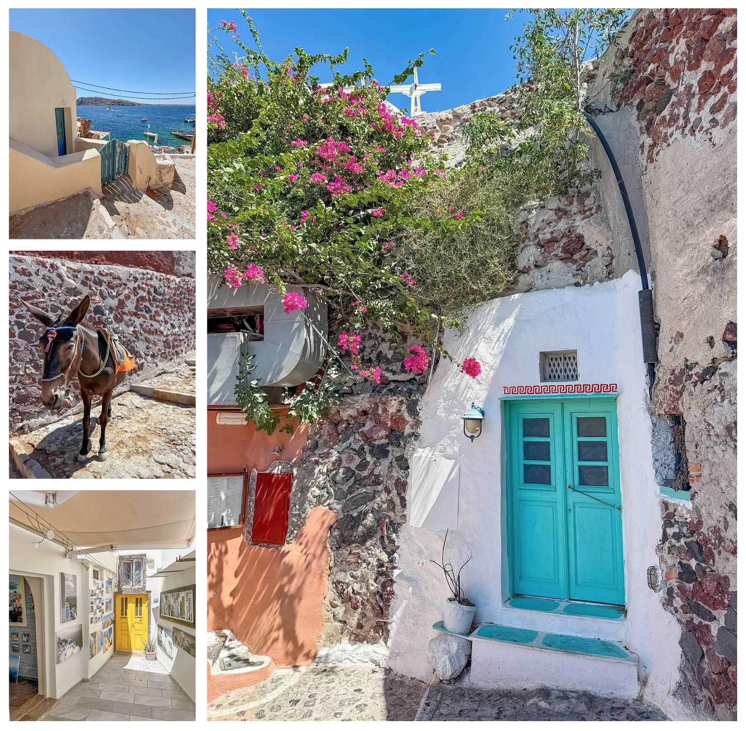 Screen Shot 2026-02-11 at 11.46.55 AM.png