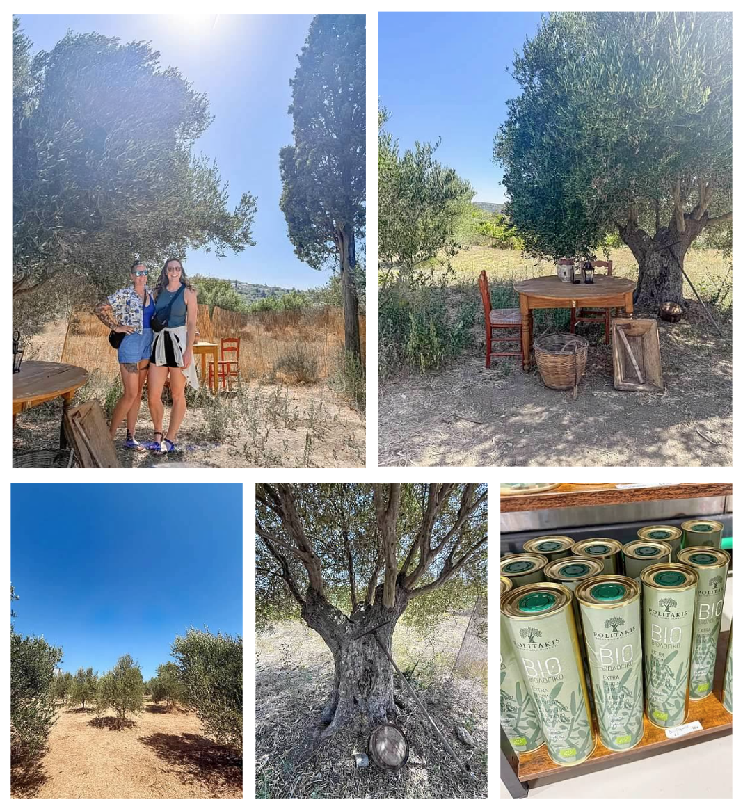 Screen Shot 2026-02-11 at 12.06.43 PM.png