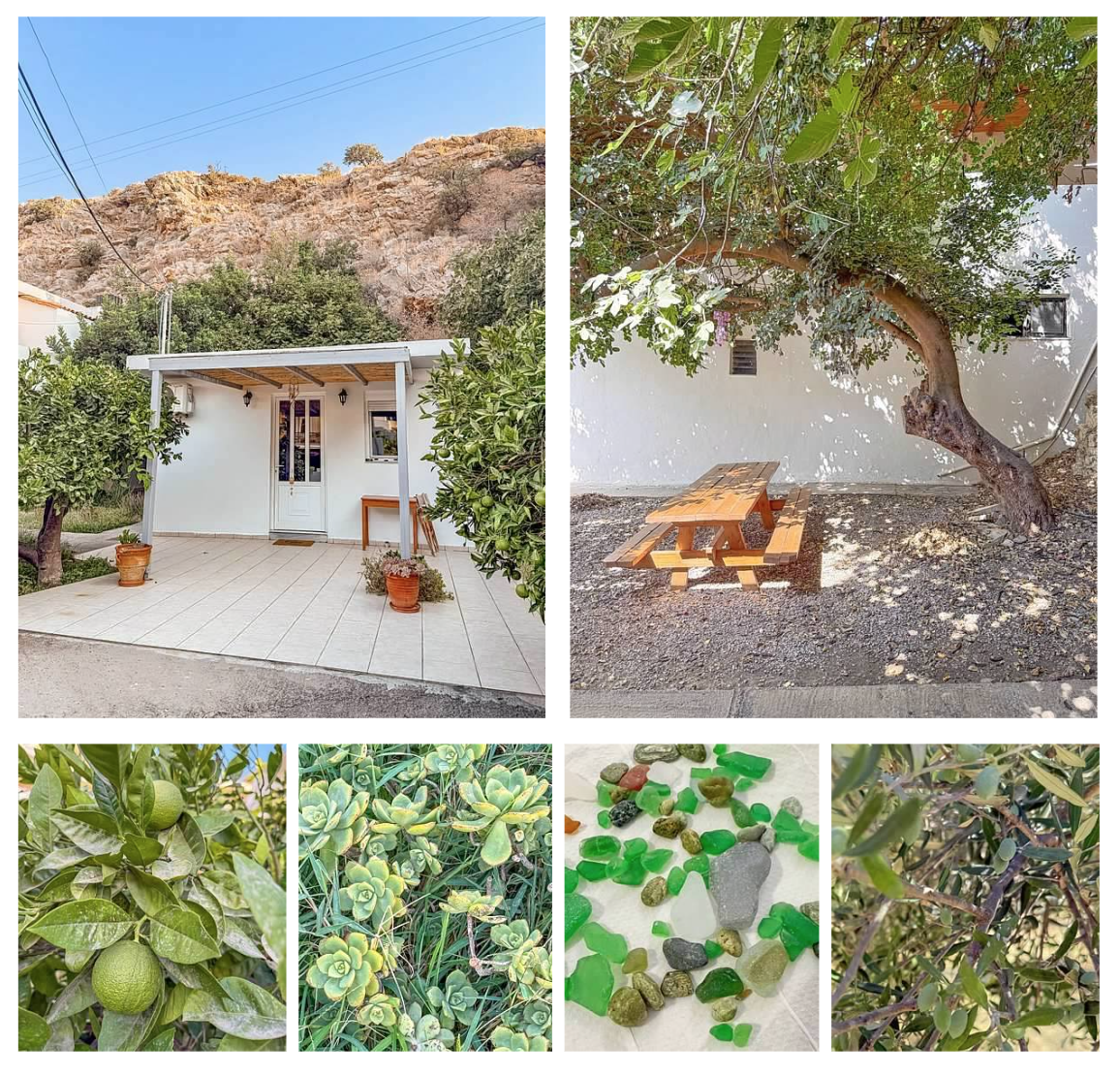 Screen Shot 2026-02-11 at 12.07.12 PM.png