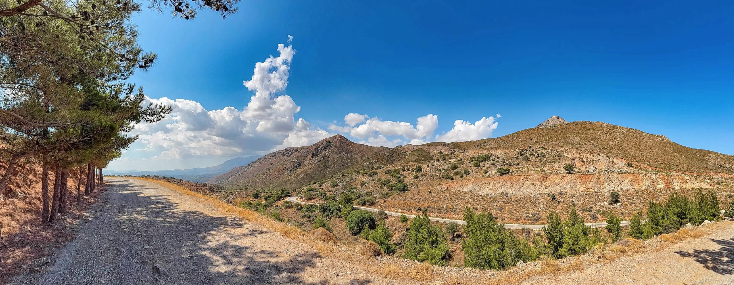 Screen Shot 2026-02-11 at 12.07.22 PM.png