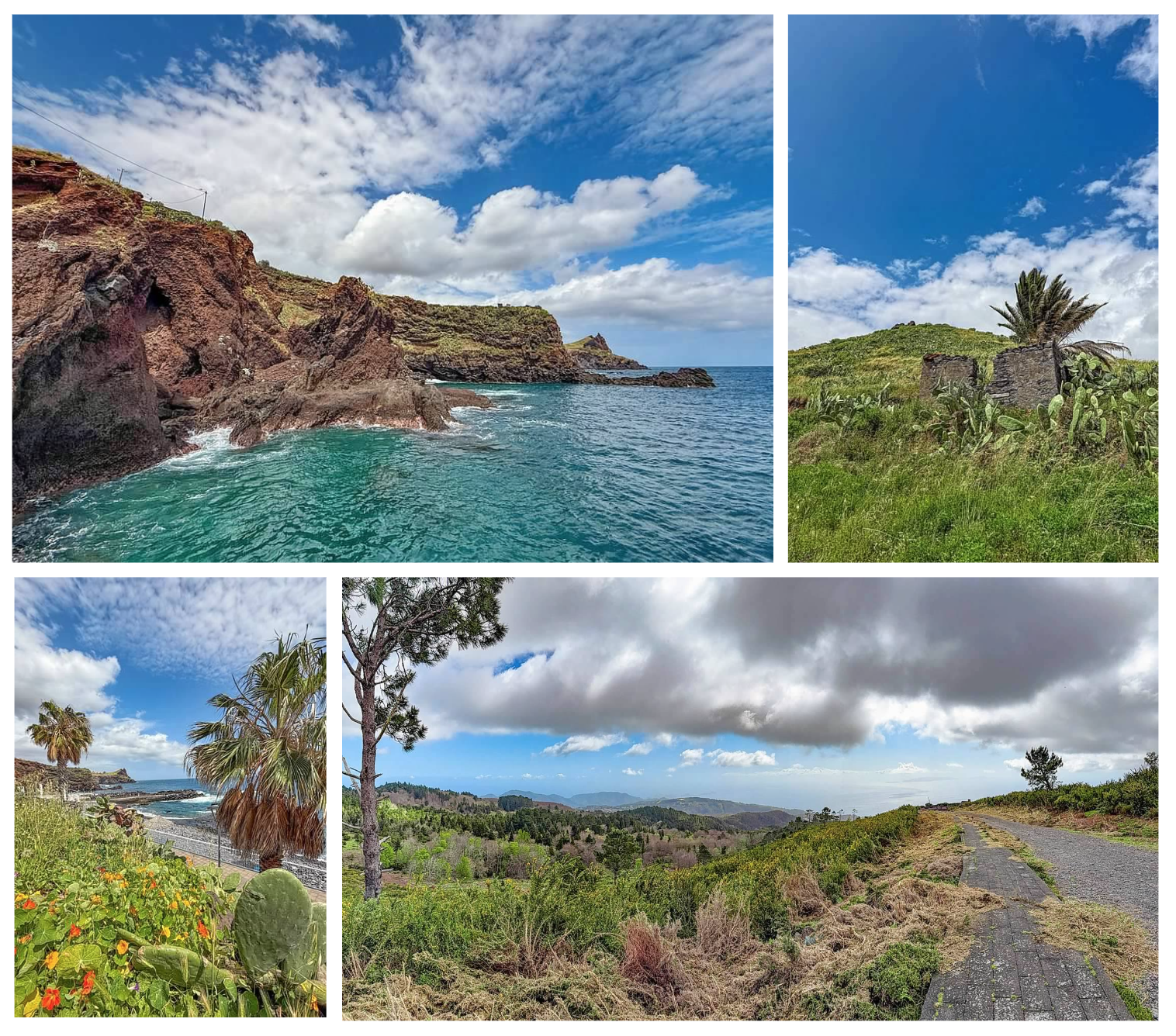 Screen Shot 2026-02-11 at 1.41.43 PM.png