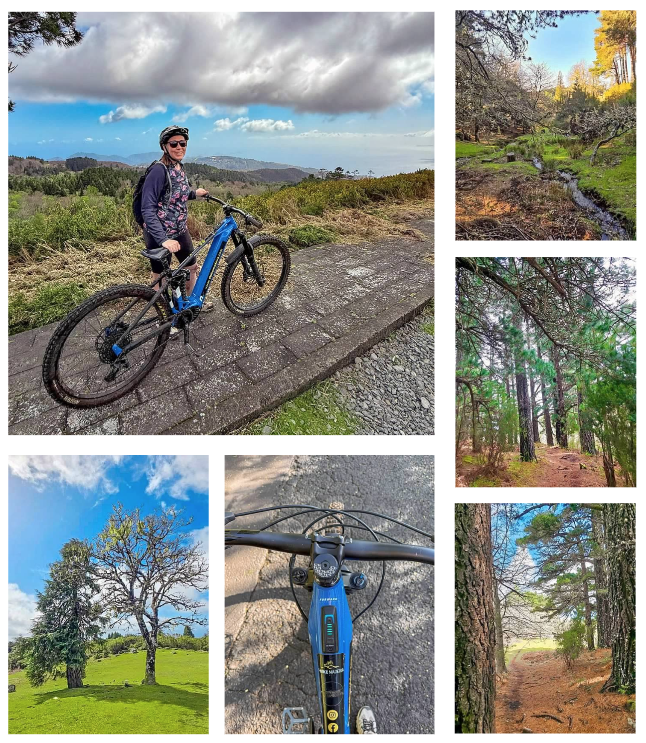 Screen Shot 2026-02-11 at 1.41.39 PM.png