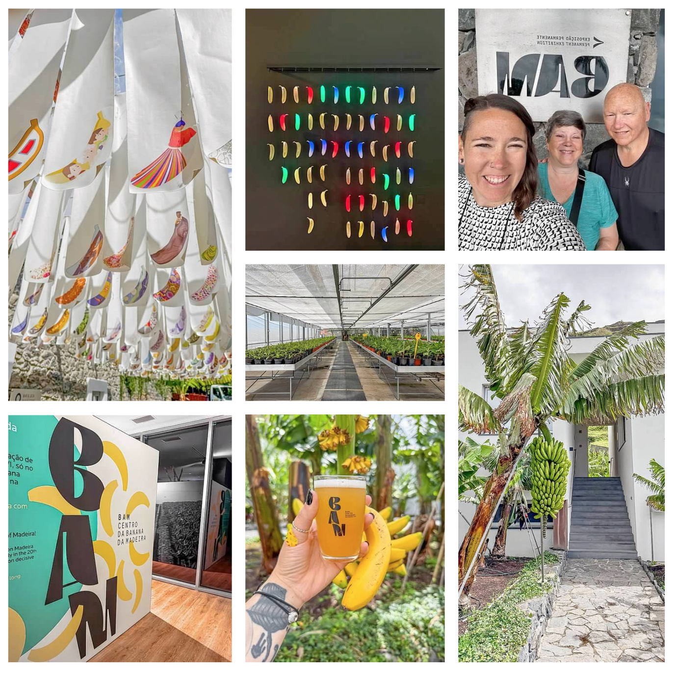 Screen Shot 2026-02-11 at 1.42.09 PM.png