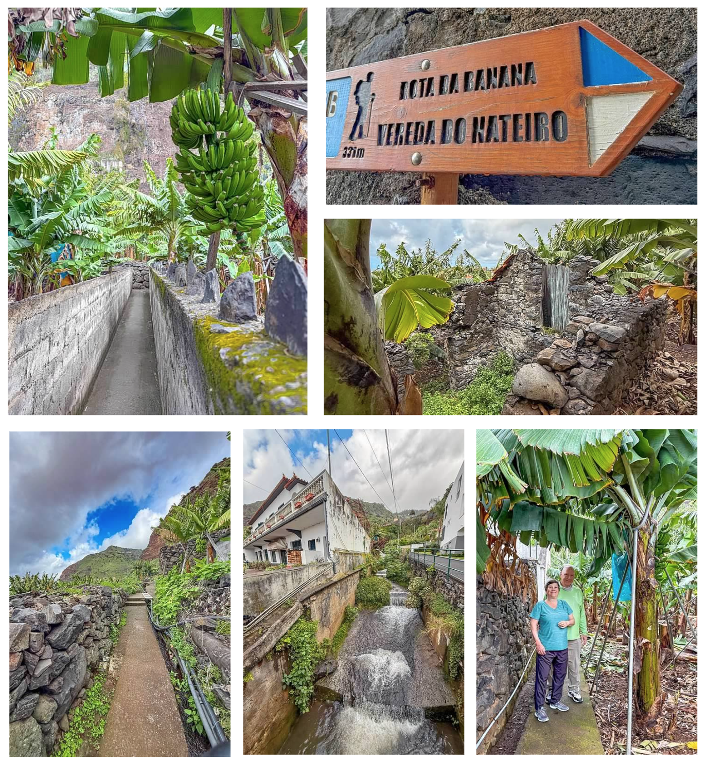 Screen Shot 2026-02-11 at 1.42.04 PM.png