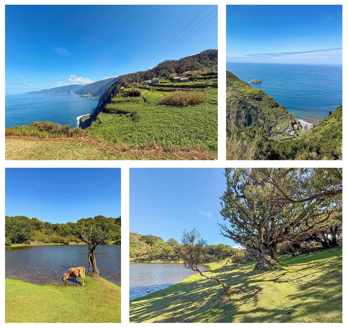 Screen Shot 2026-02-11 at 1.43.43 PM.png