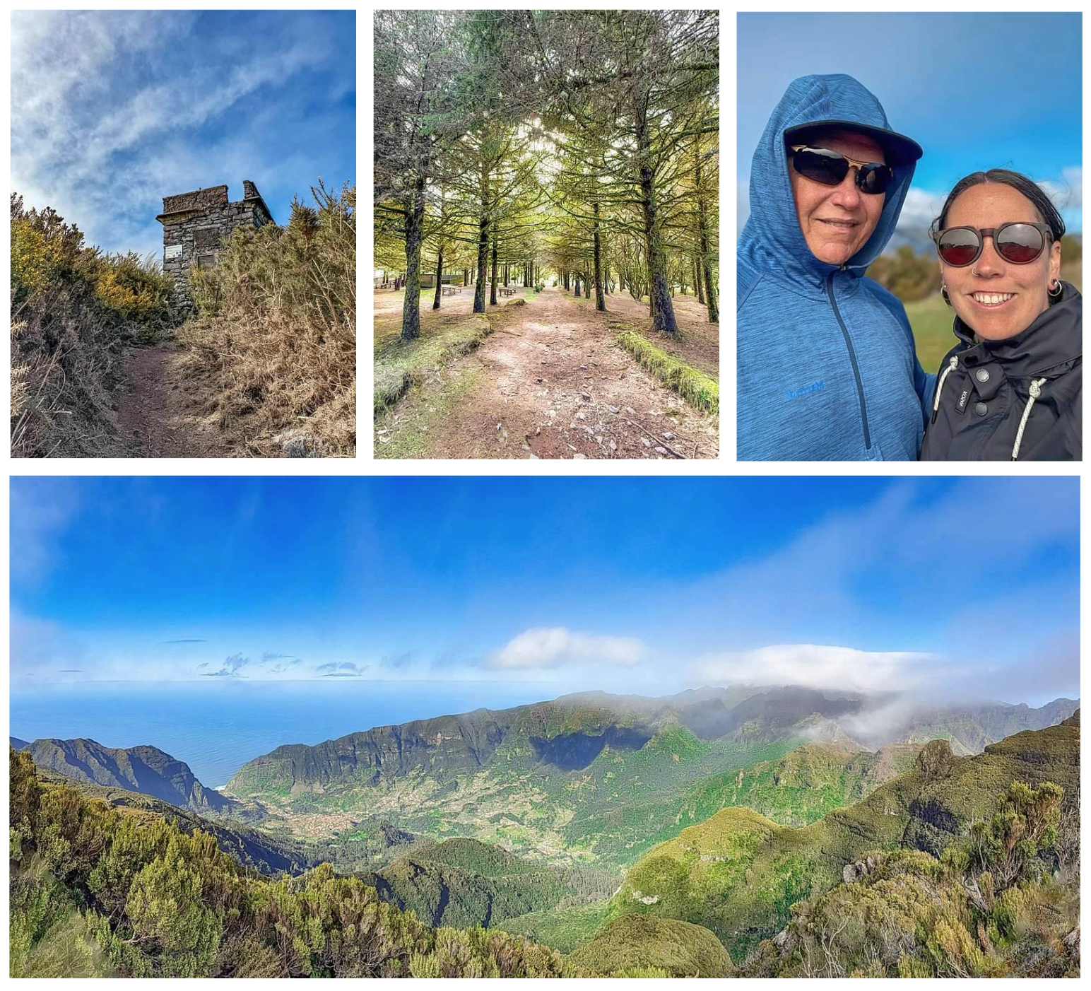 Screen Shot 2026-02-11 at 1.43.49 PM.png