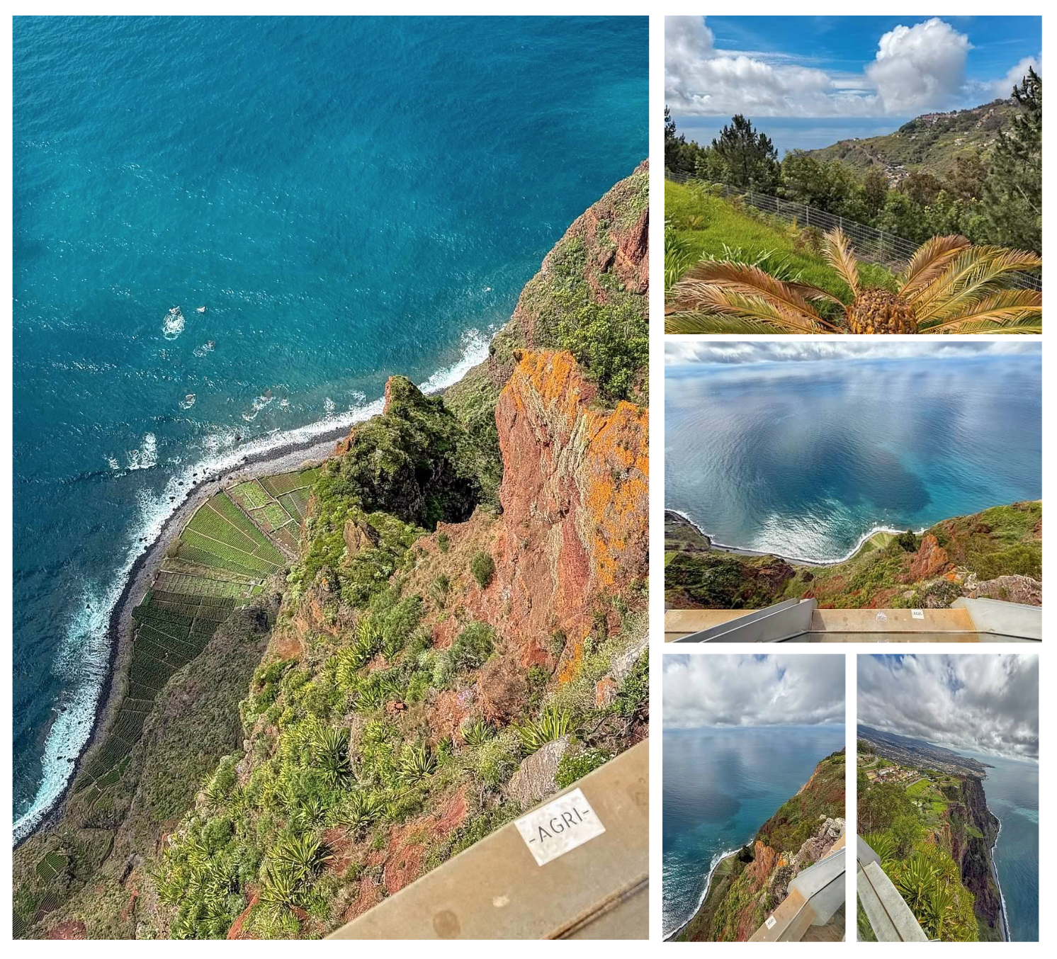 Screen Shot 2026-02-11 at 1.43.53 PM.png