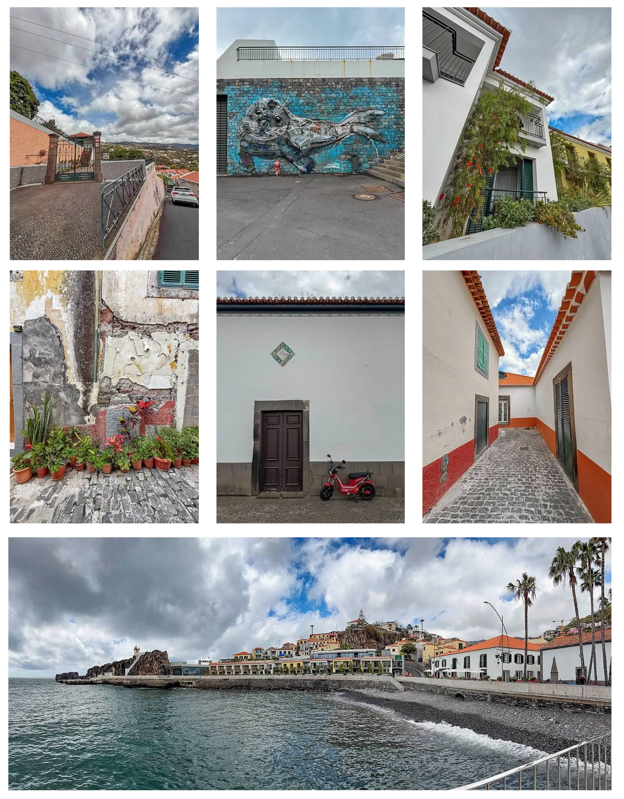 Screen Shot 2026-02-11 at 1.43.58 PM.png