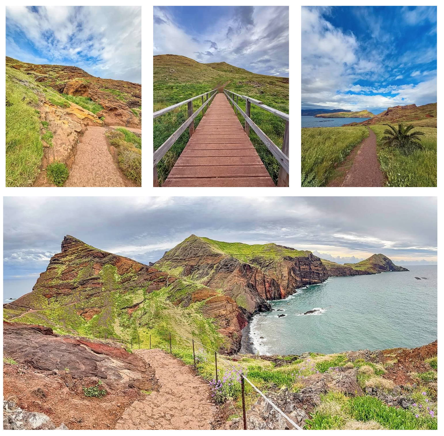 Screen Shot 2026-02-11 at 1.45.05 PM.png