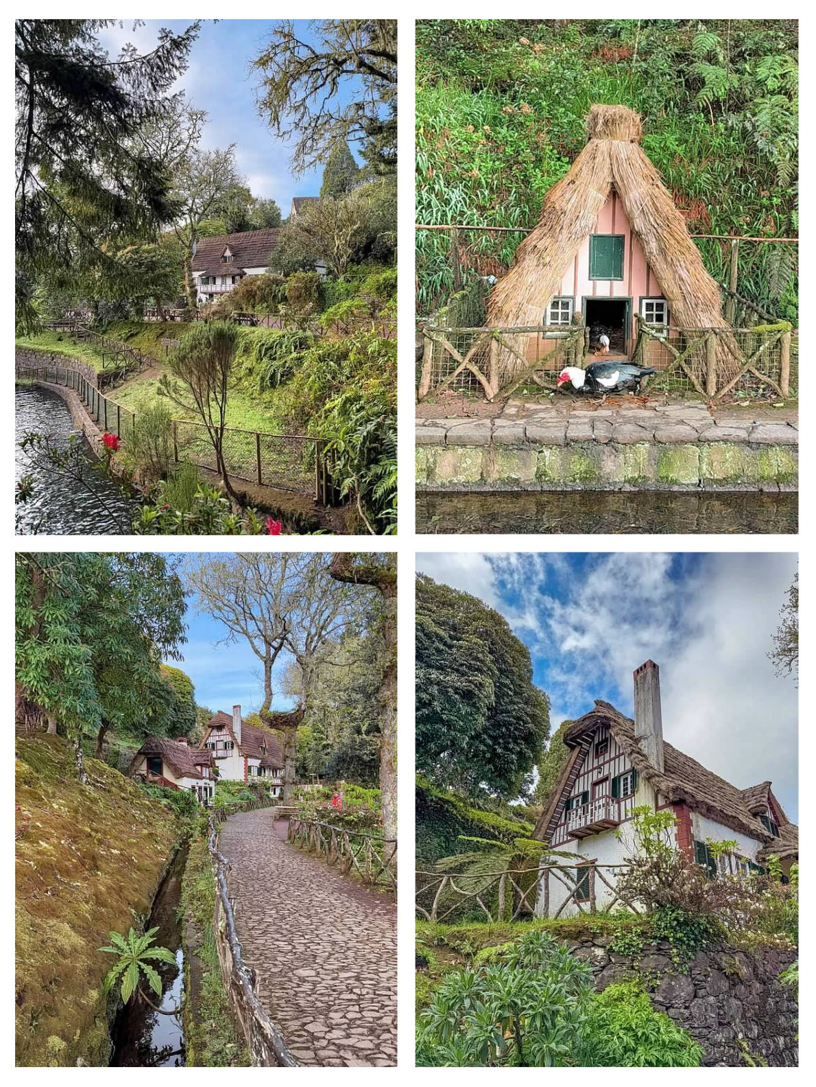 Screen Shot 2026-02-11 at 1.45.26 PM.png