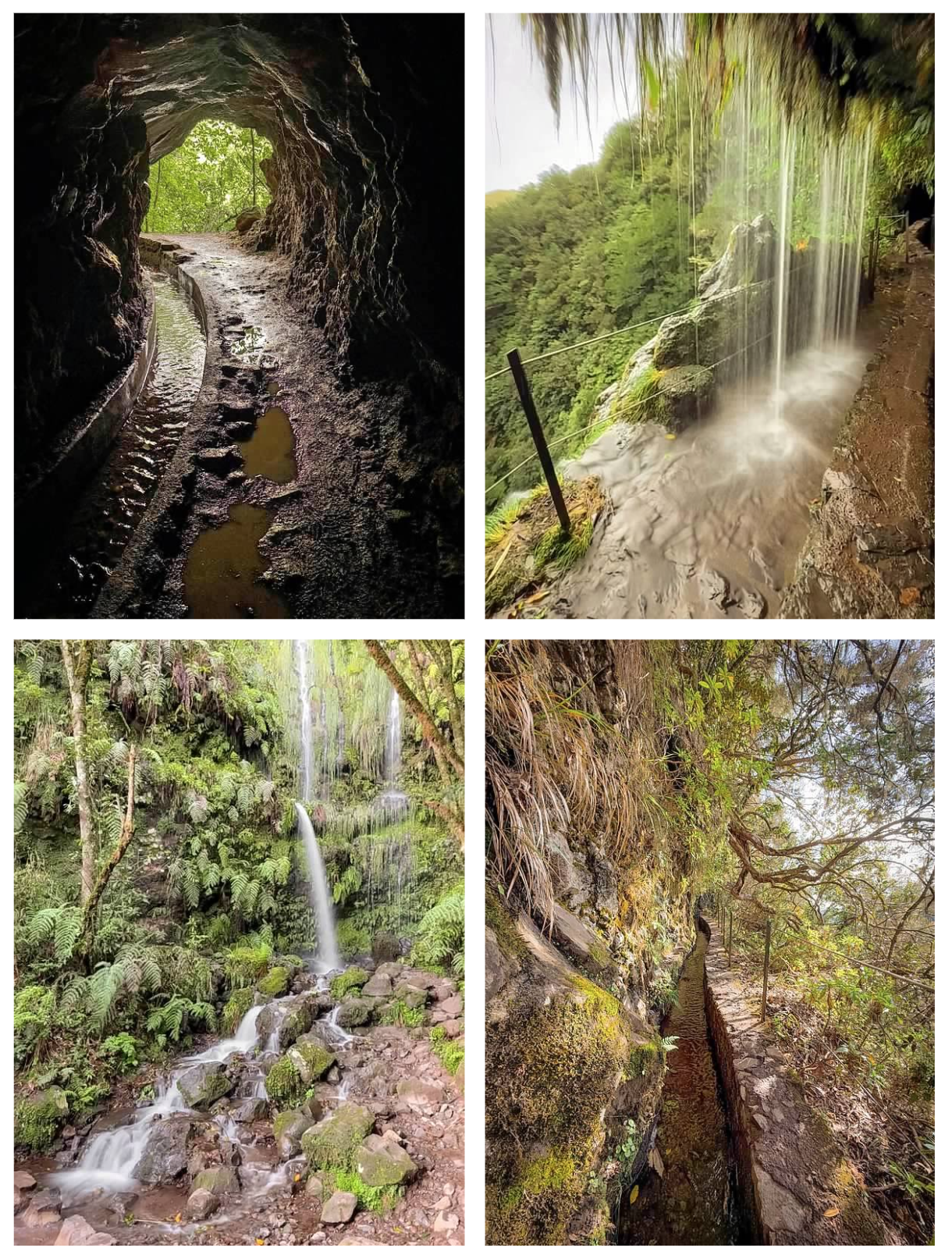 Screen Shot 2026-02-11 at 1.45.36 PM.png