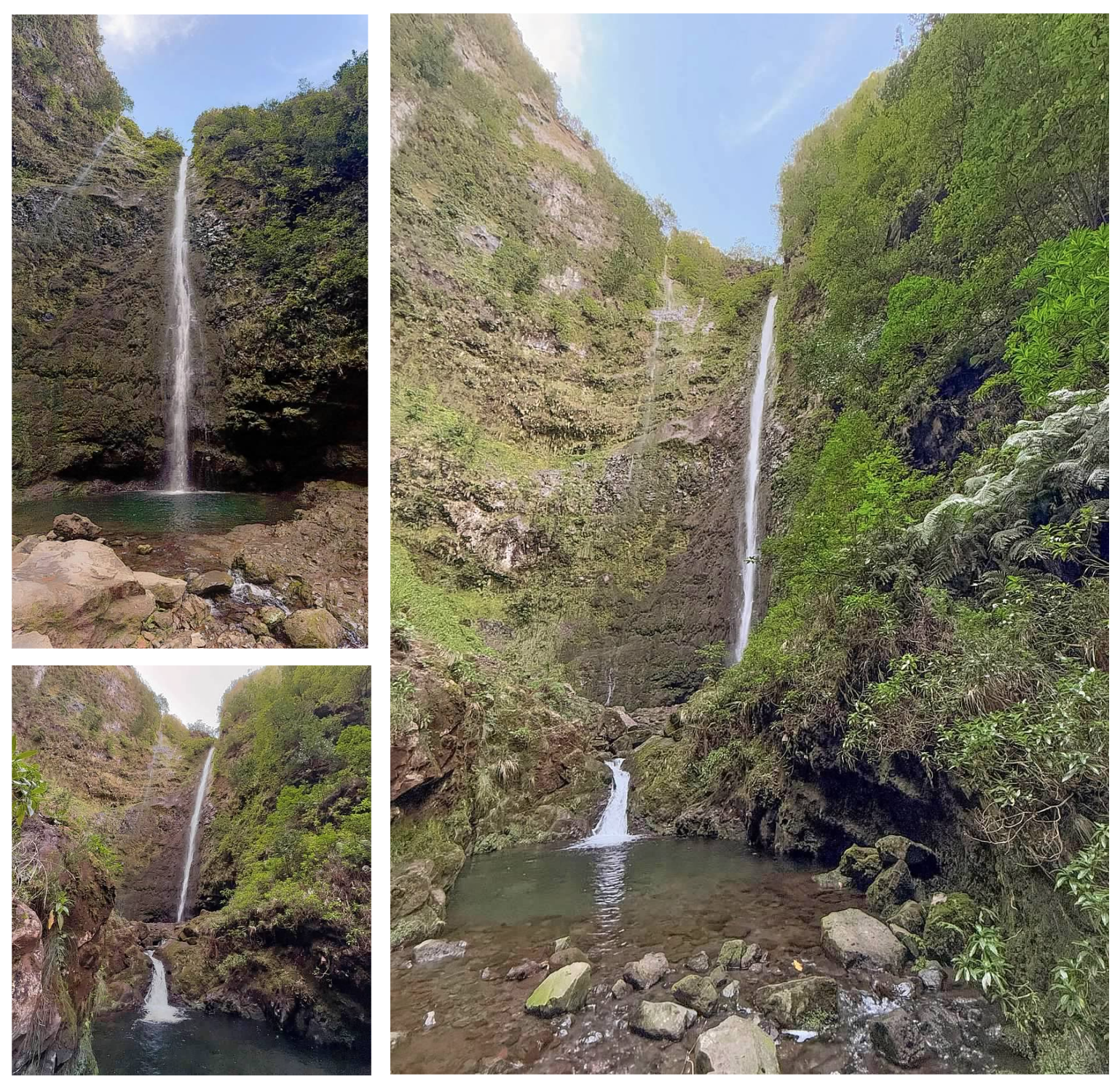 Screen Shot 2026-02-11 at 1.45.41 PM.png