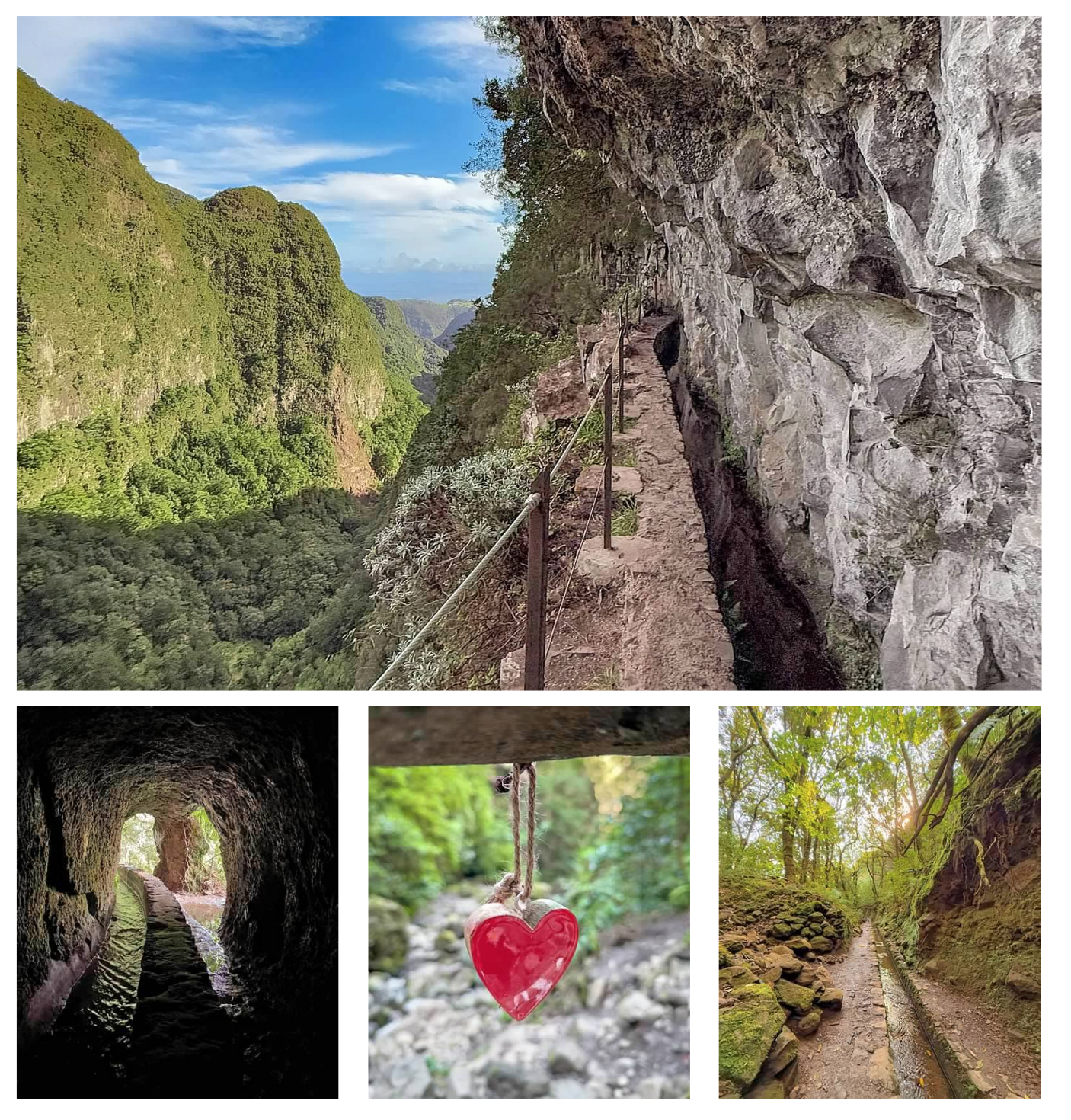 Screen Shot 2026-02-11 at 1.45.46 PM.png