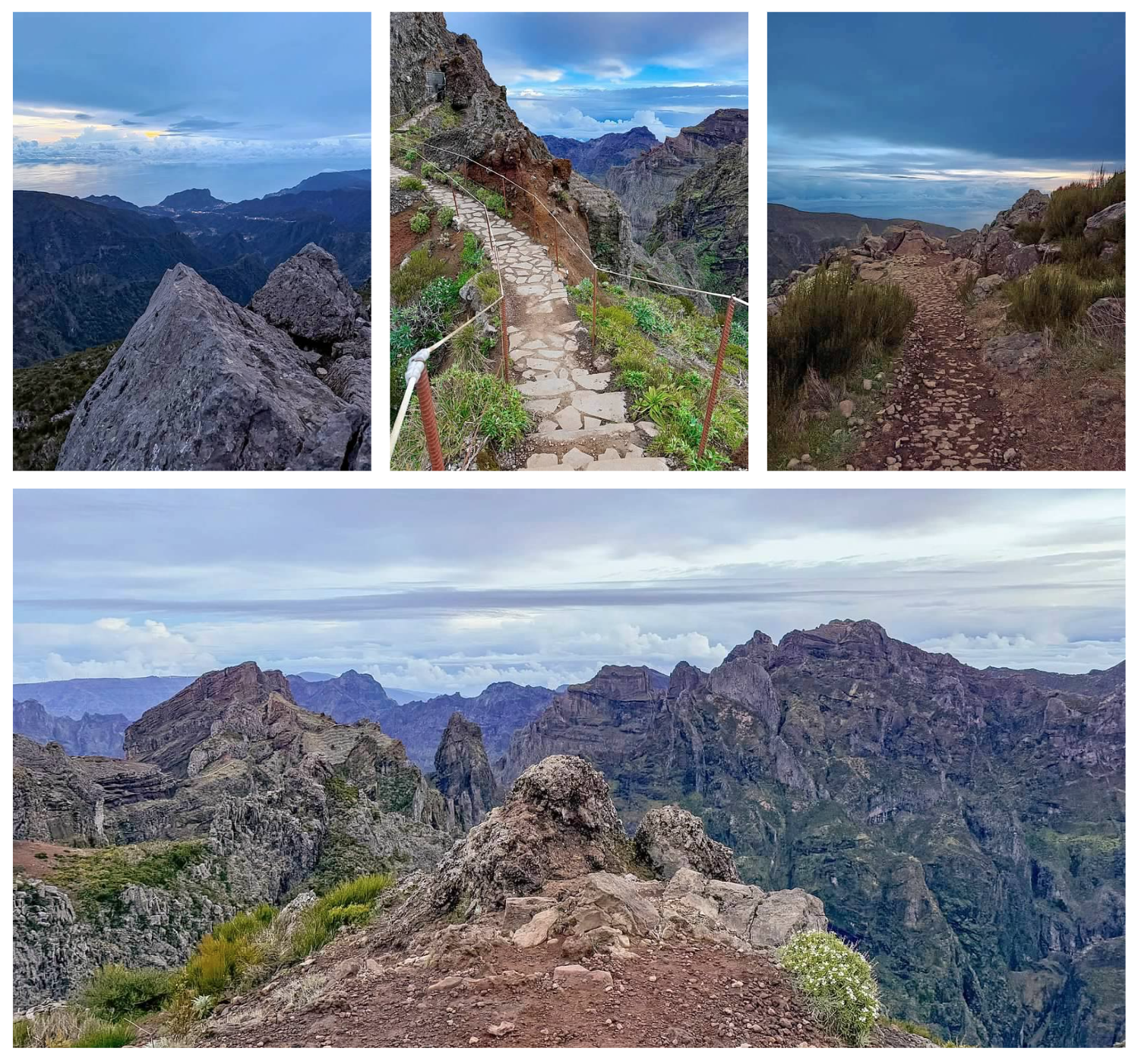 Screen Shot 2026-02-11 at 1.46.12 PM.png