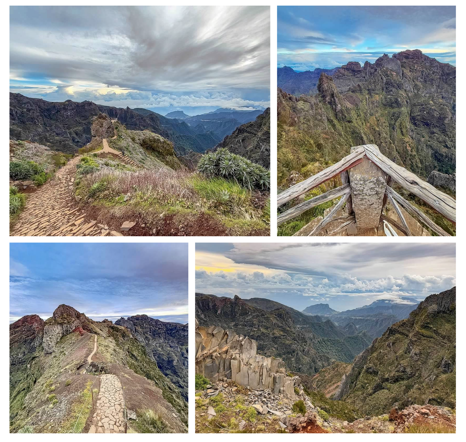 Screen Shot 2026-02-11 at 1.46.16 PM.png