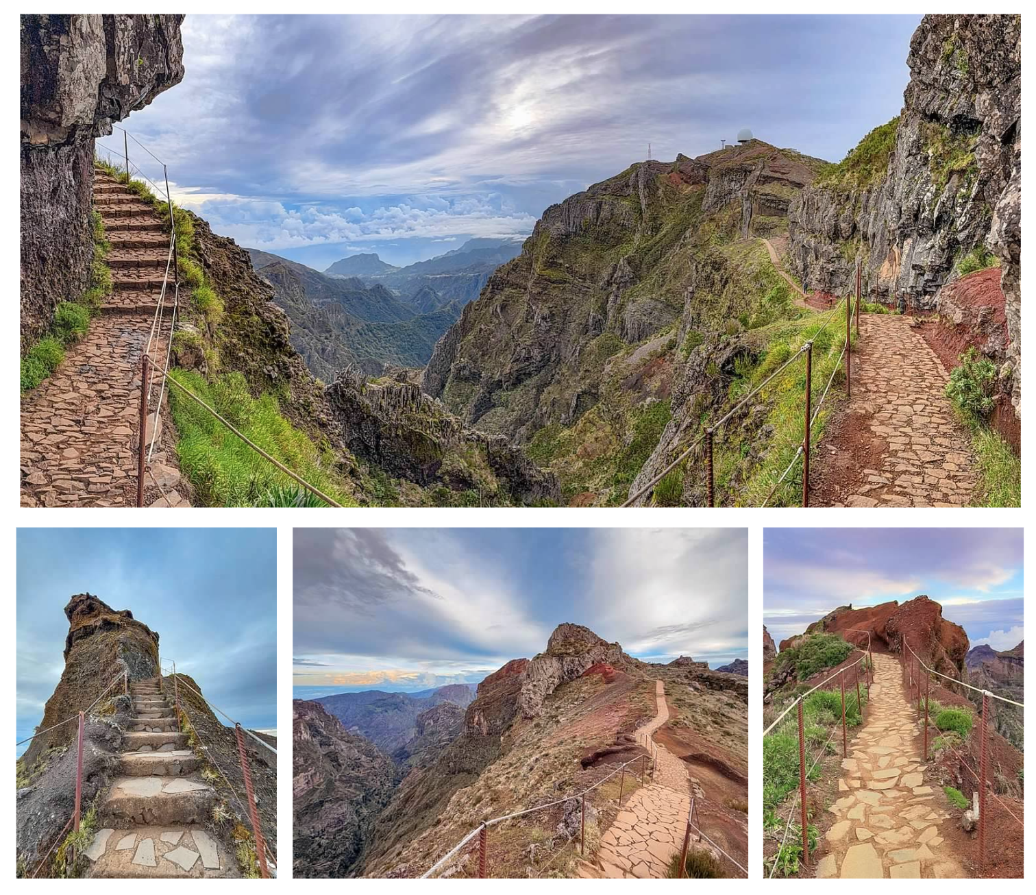 Screen Shot 2026-02-11 at 1.46.32 PM.png