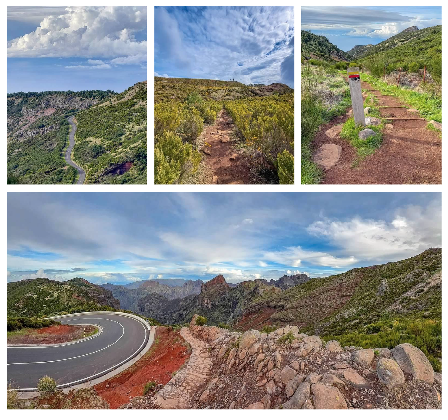 Screen Shot 2026-02-11 at 1.46.41 PM.png