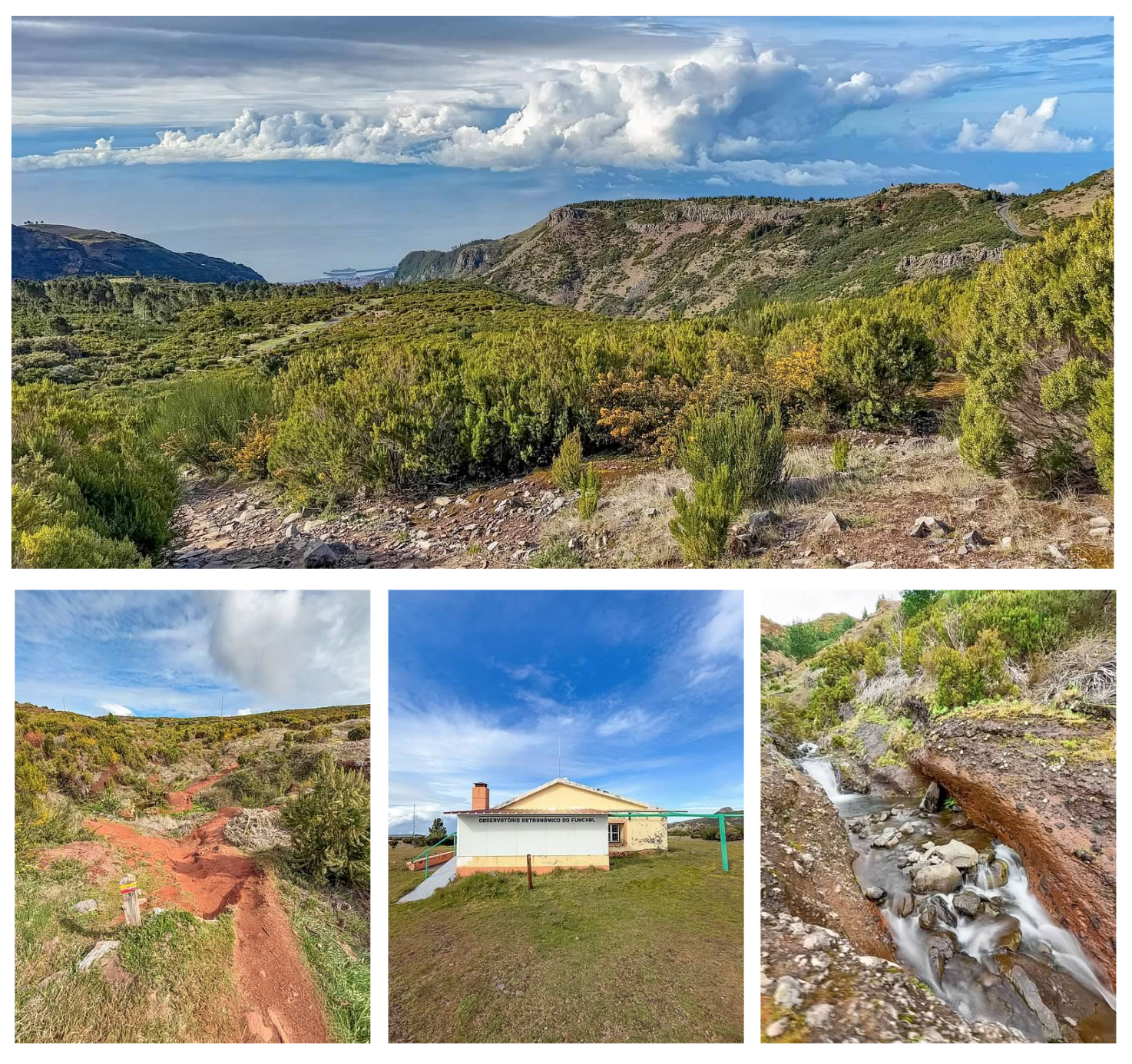 Screen Shot 2026-02-11 at 1.46.45 PM.png