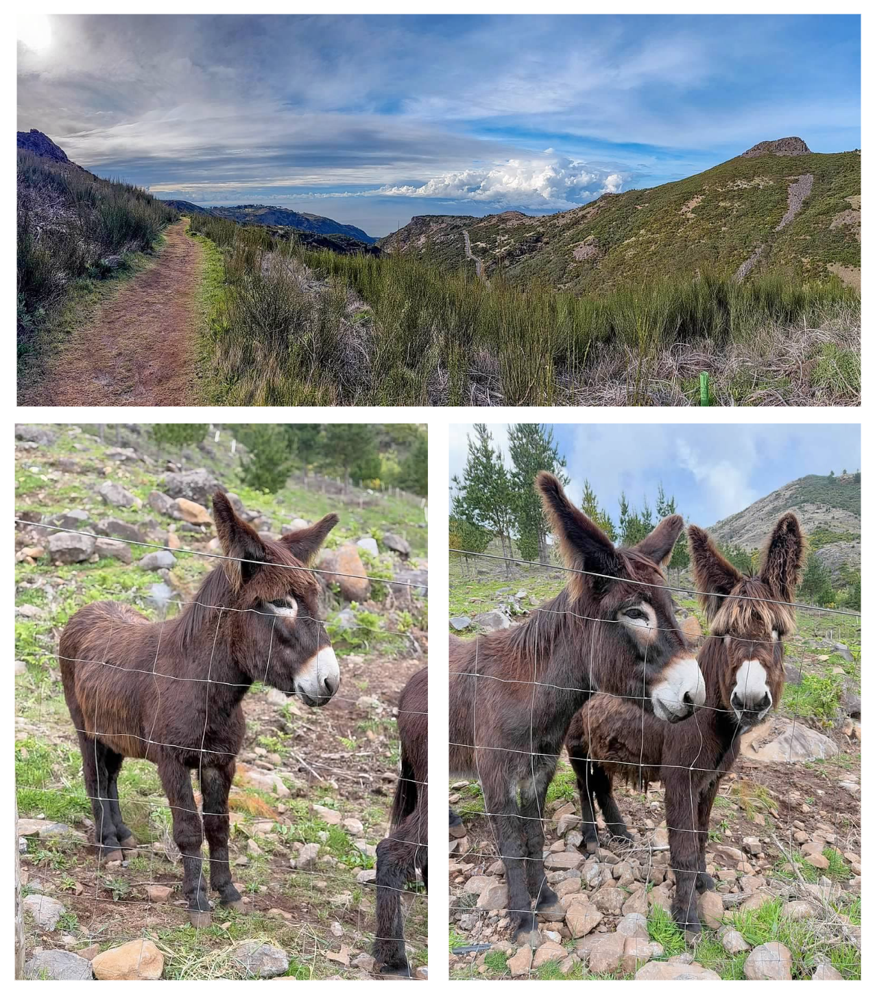 Screen Shot 2026-02-11 at 1.46.55 PM.png