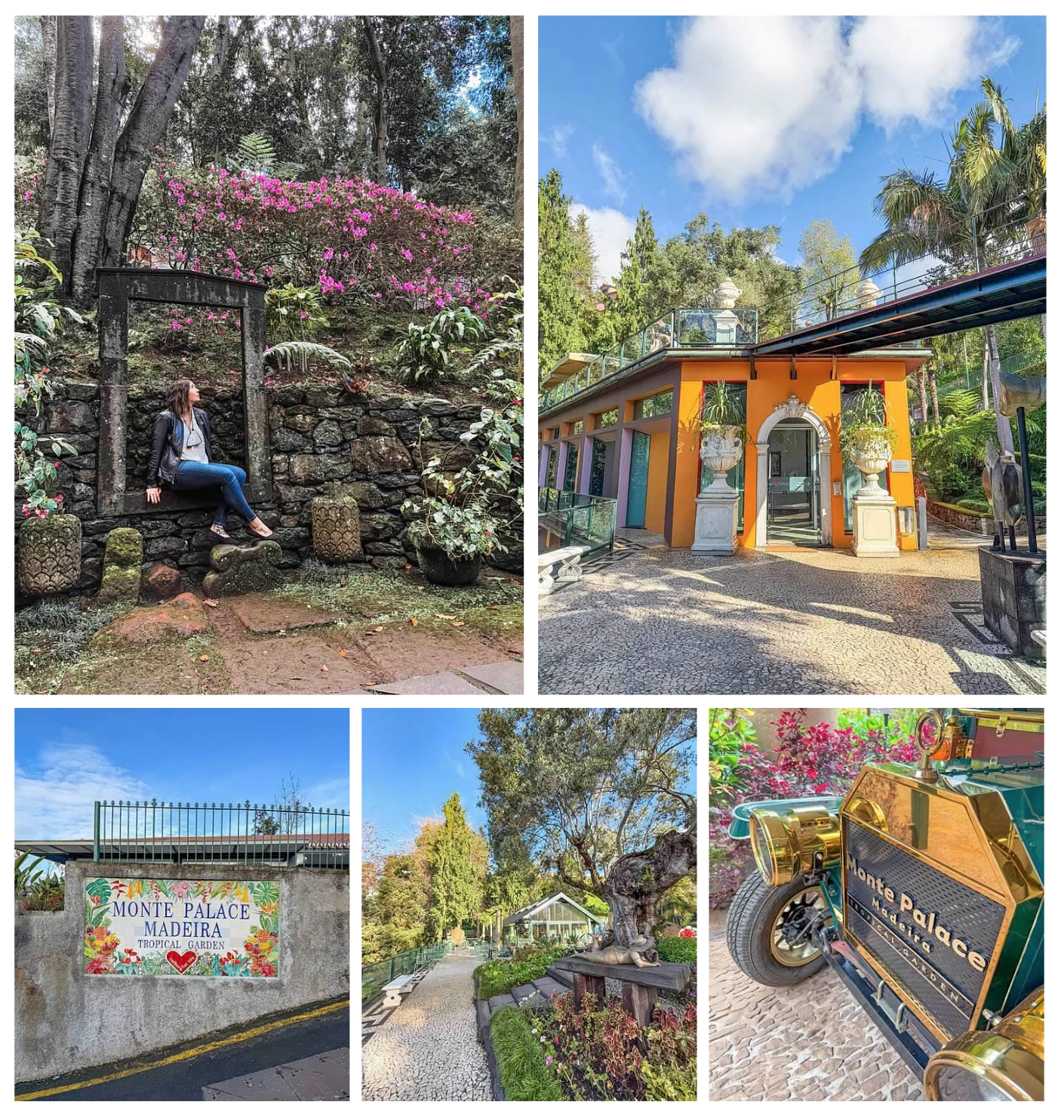 Screen Shot 2026-02-11 at 1.47.02 PM.png