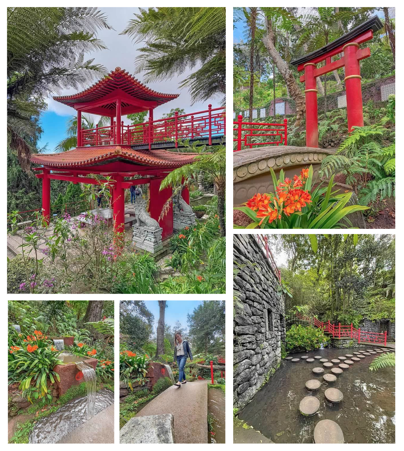 Screen Shot 2026-02-11 at 1.47.18 PM.png