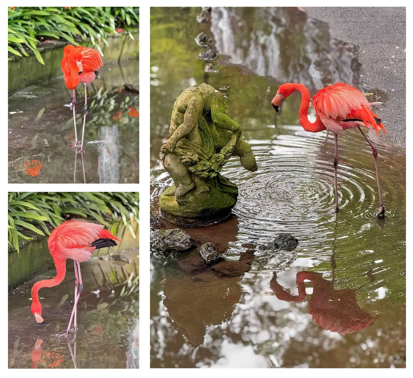 Screen Shot 2026-02-11 at 1.47.24 PM.png