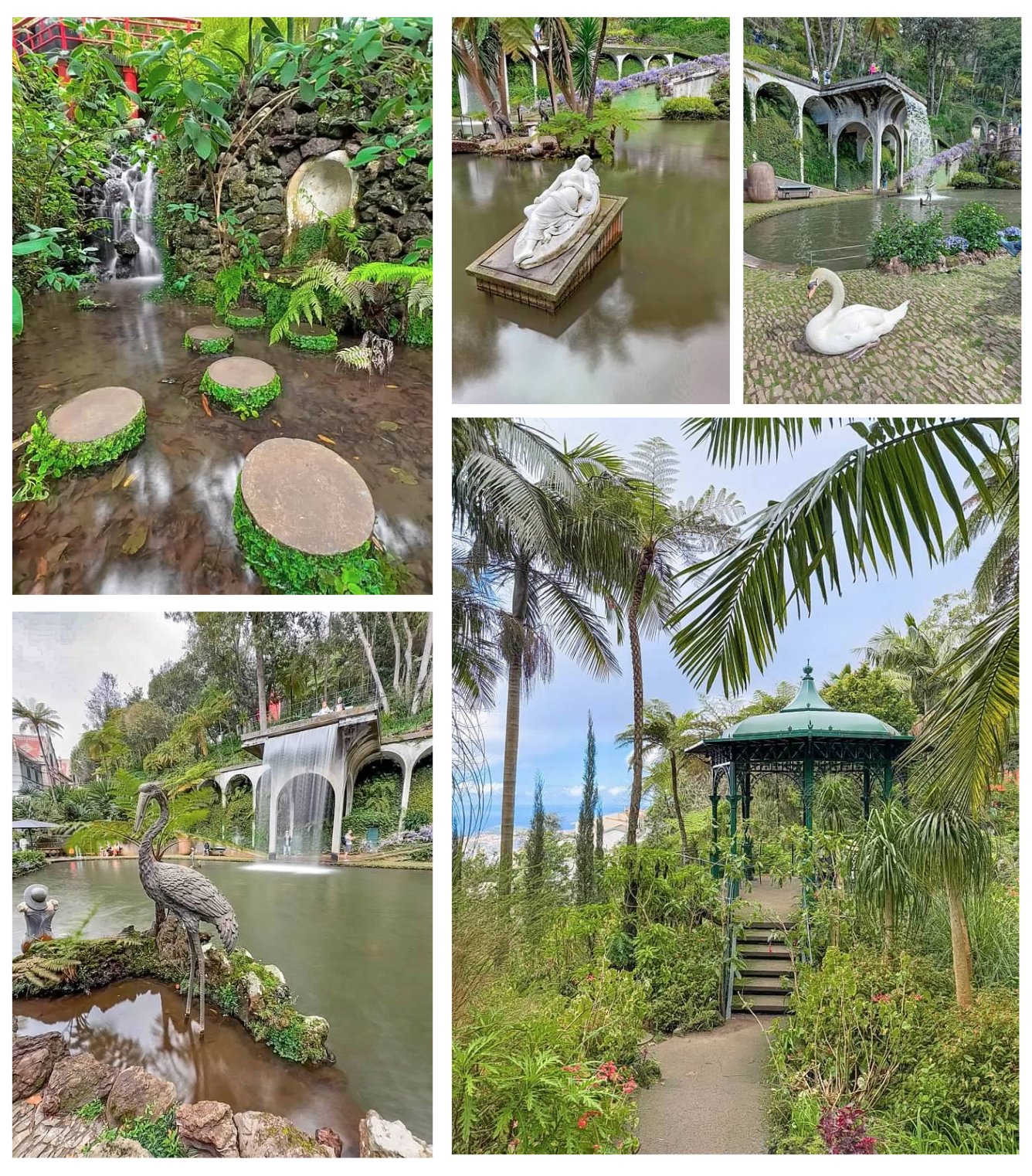 Screen Shot 2026-02-11 at 1.47.29 PM.png