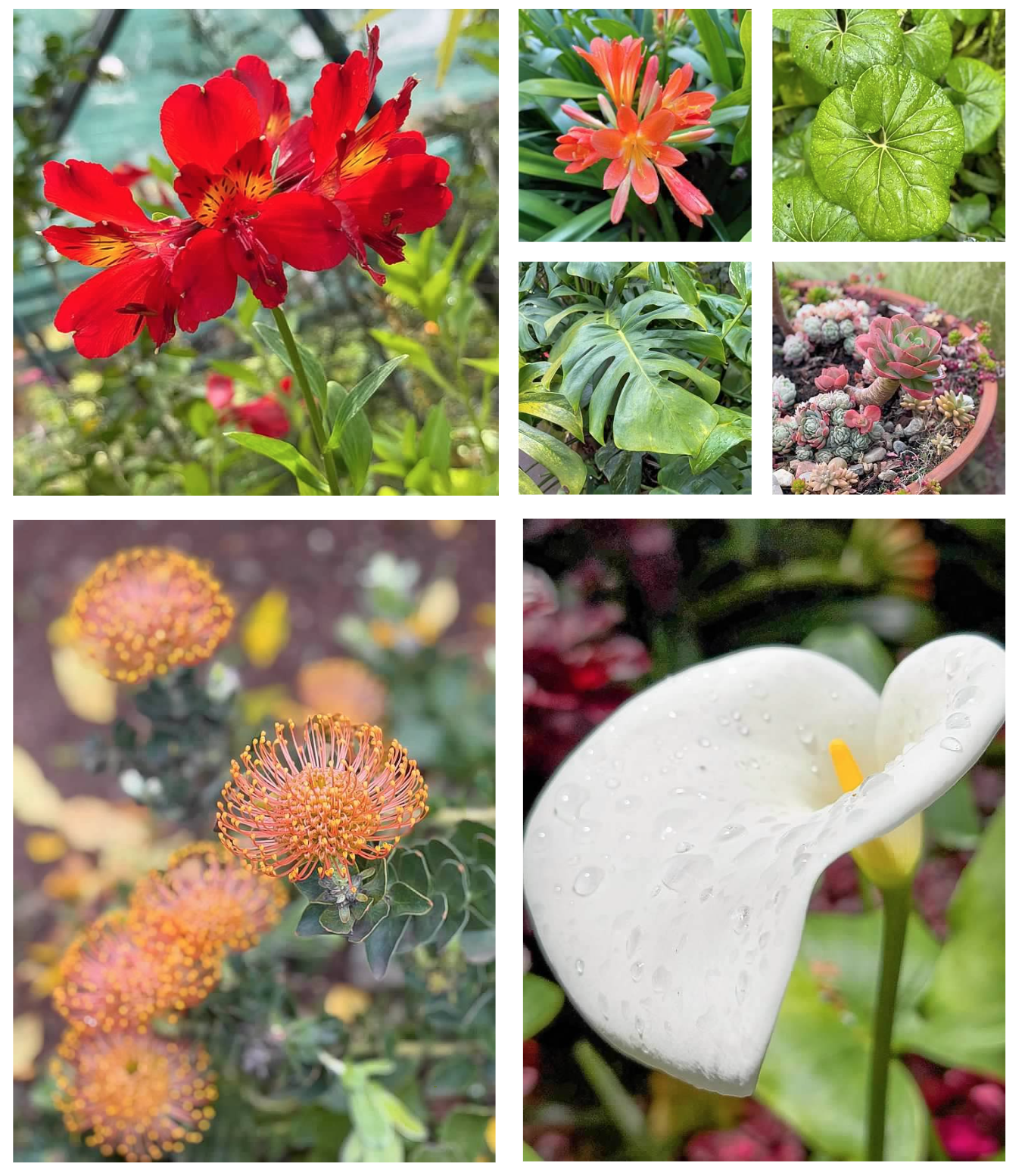 Screen Shot 2026-02-11 at 1.47.39 PM.png