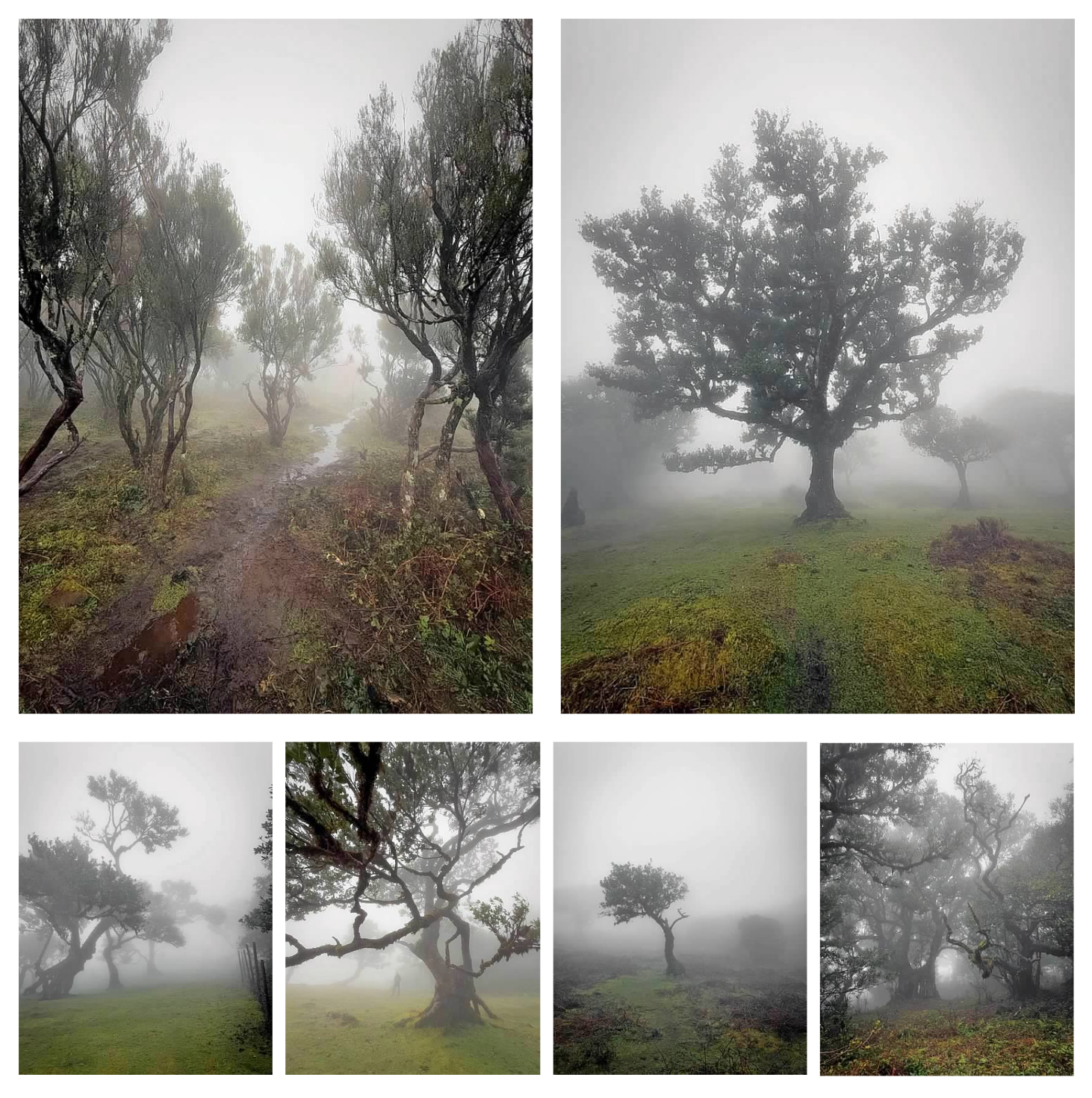 Screen Shot 2026-02-11 at 1.47.54 PM.png