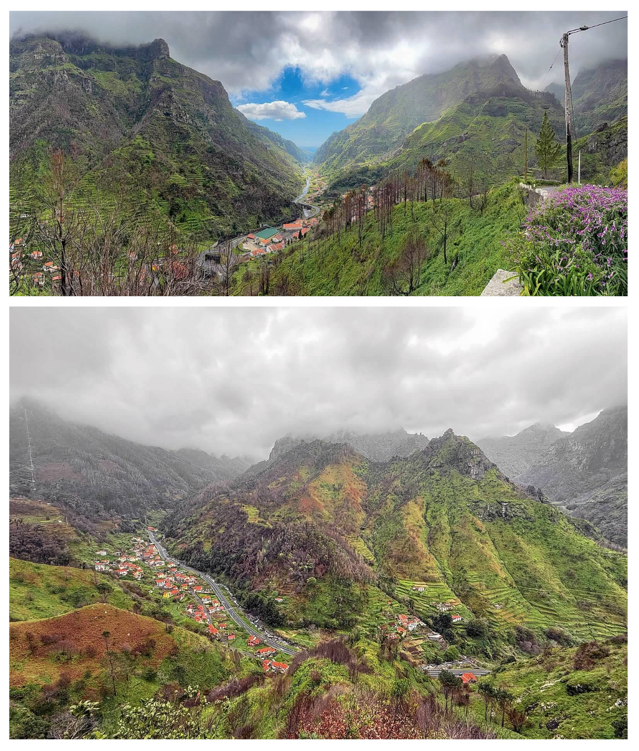 Screen Shot 2026-02-11 at 1.48.30 PM.png